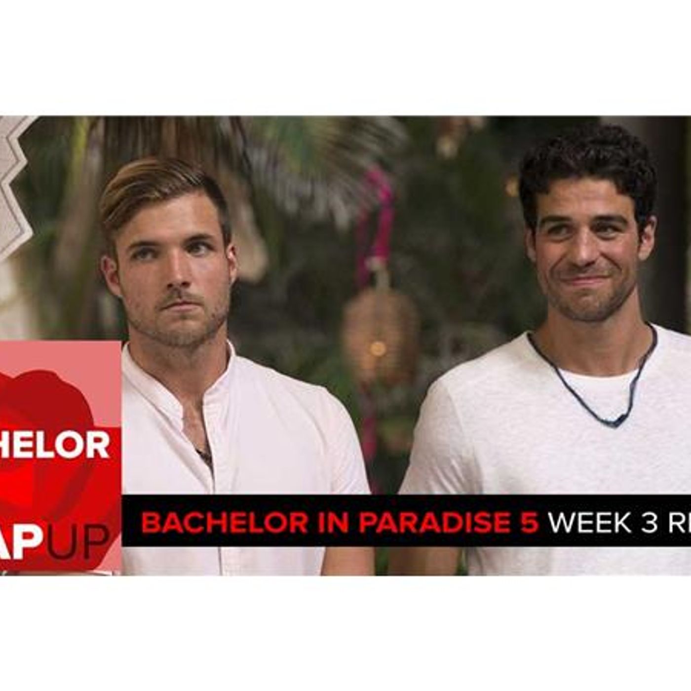 The Bachelor Reality TV RHAP-ups