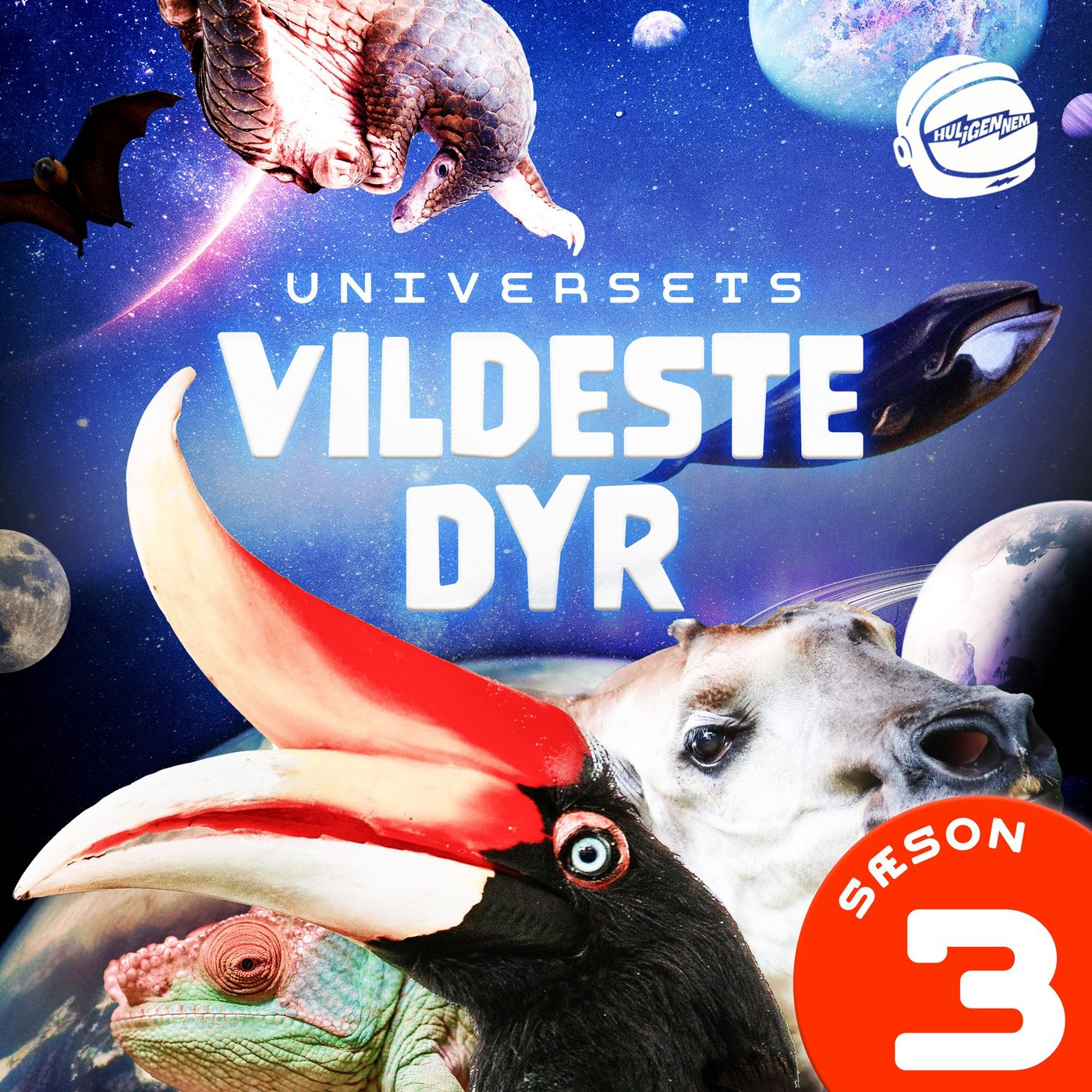 Europæisk honningbi