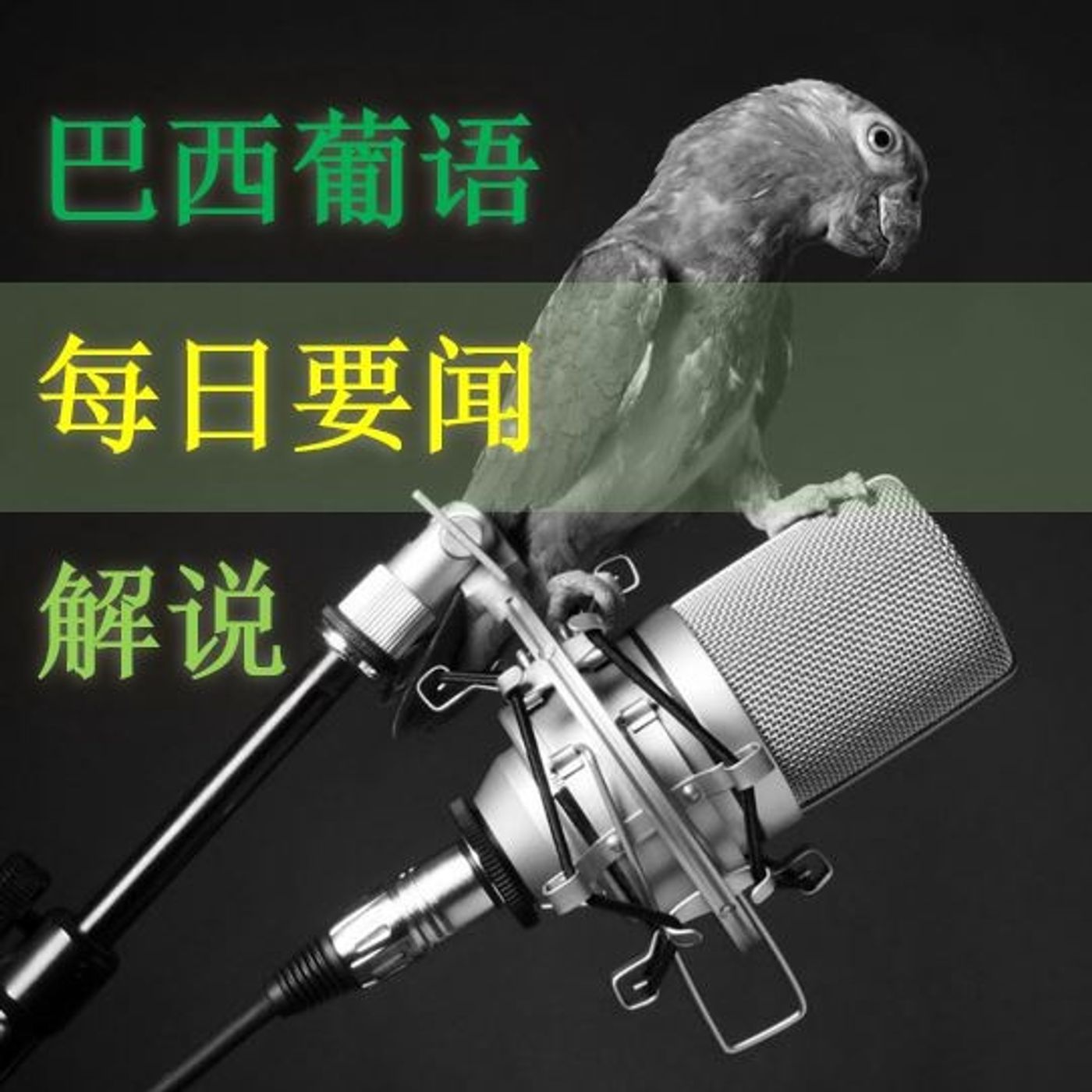 巴西葡语：每日要闻解说