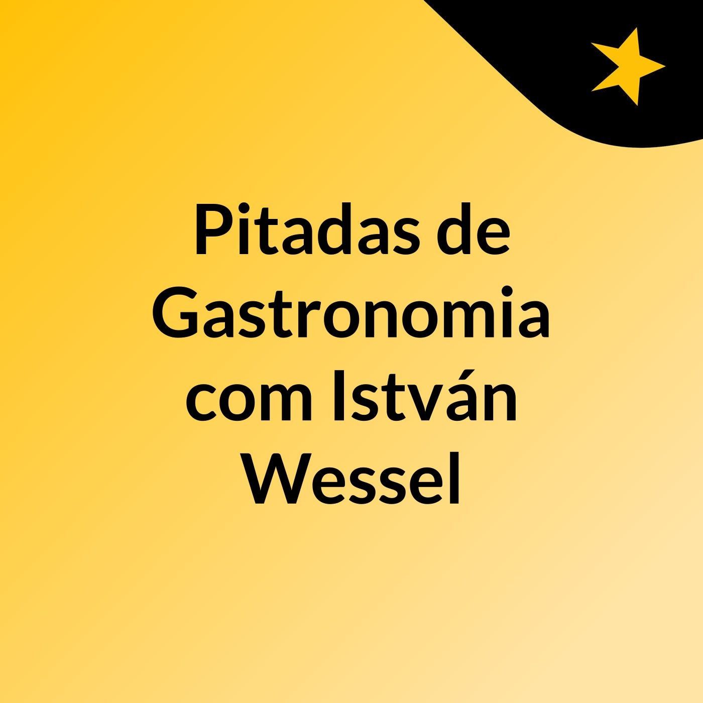 Pitadas de Gastronomia, com István Wessel