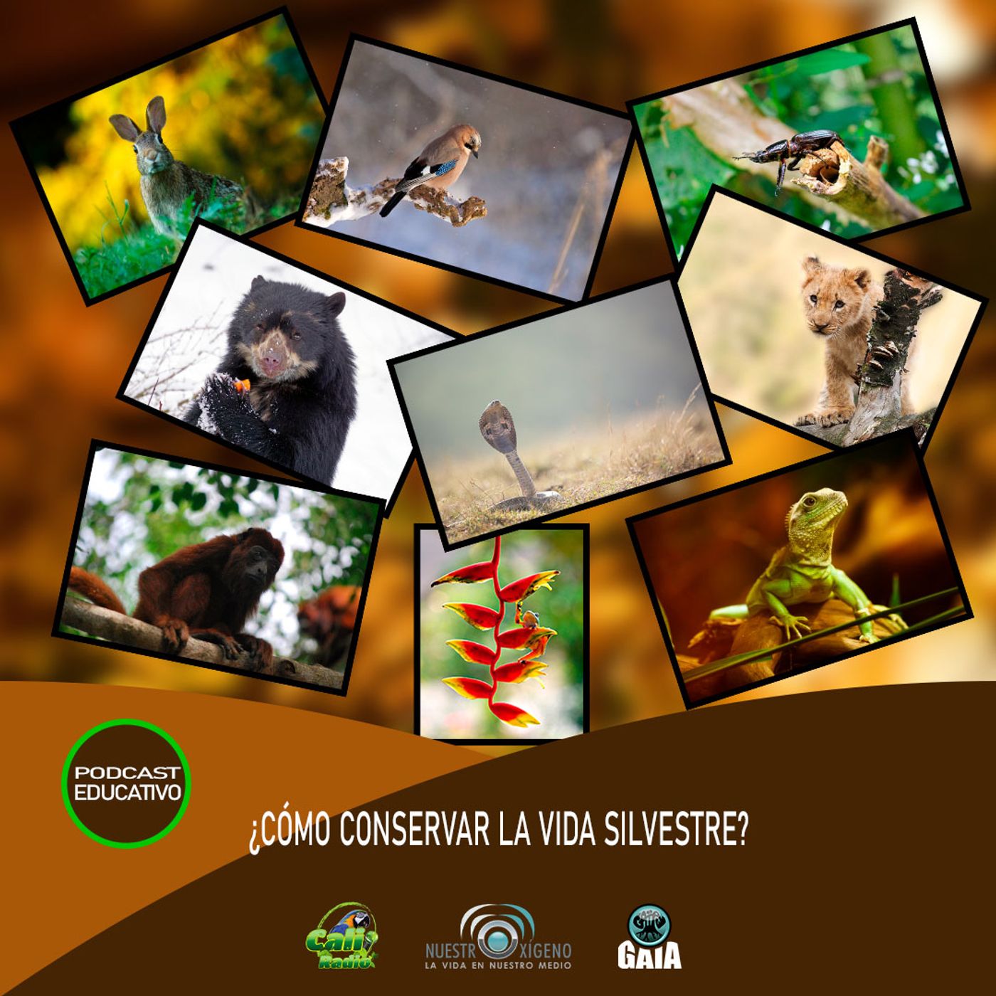 2024 Nuestro Oxigeno 03- Marzo