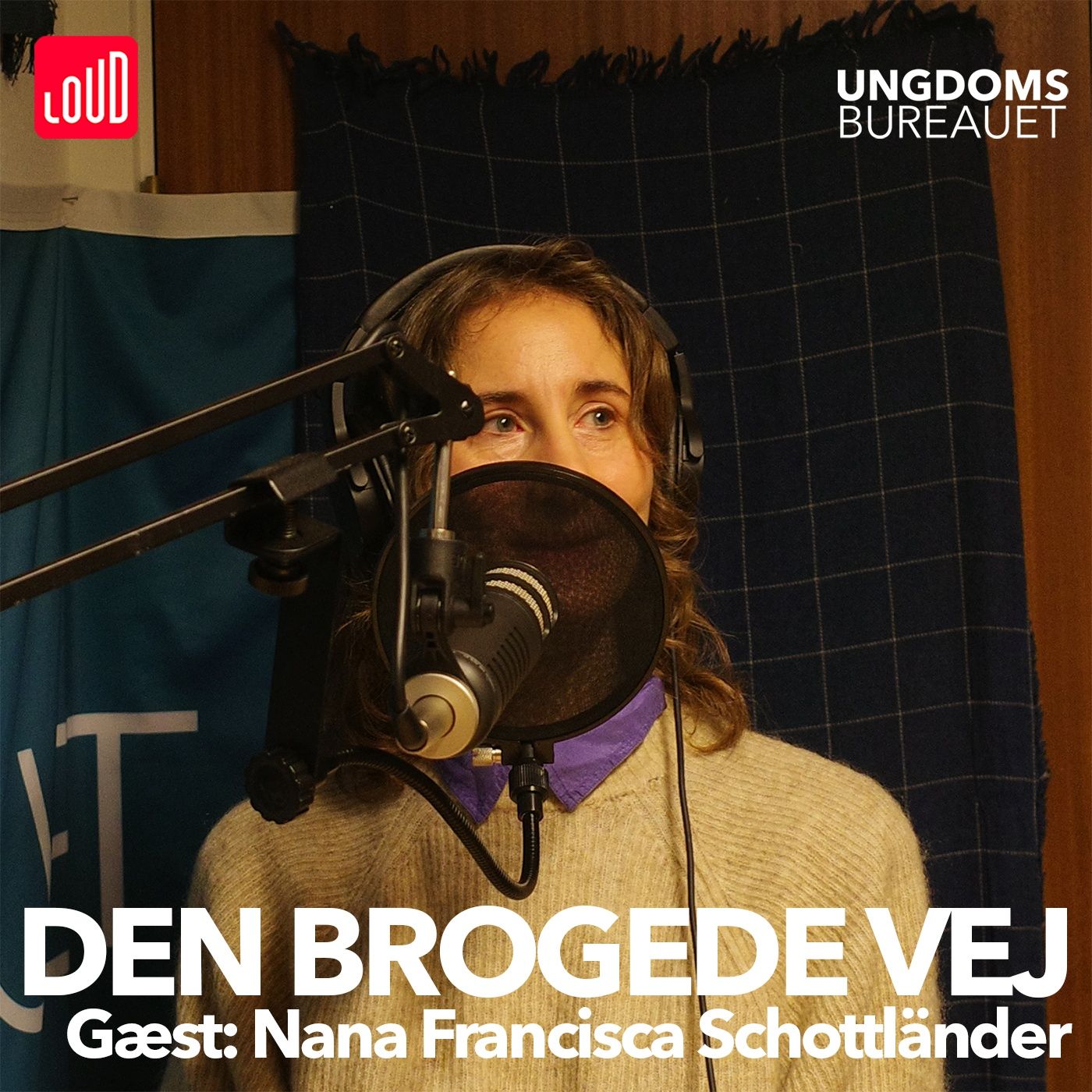 Den Brogede Vej