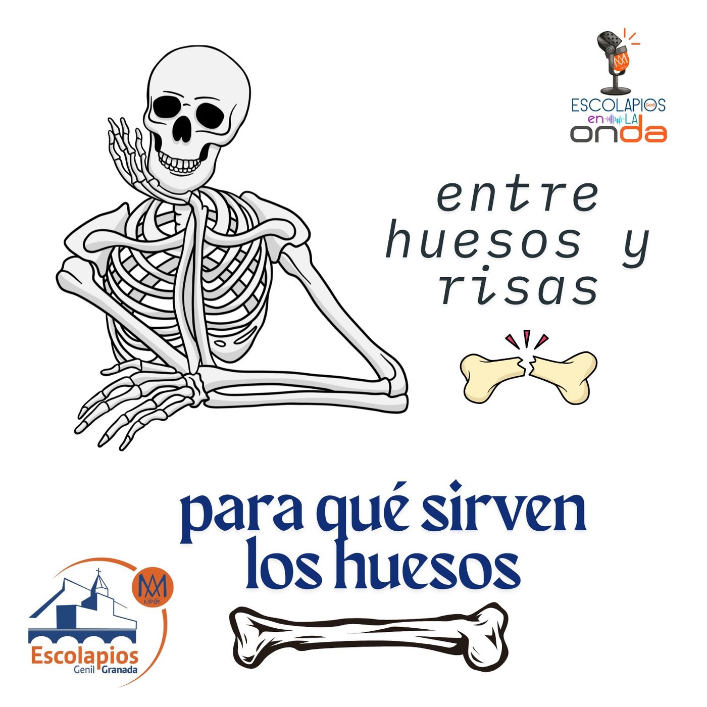 Proyectos en el aula | Escolapios en la onda