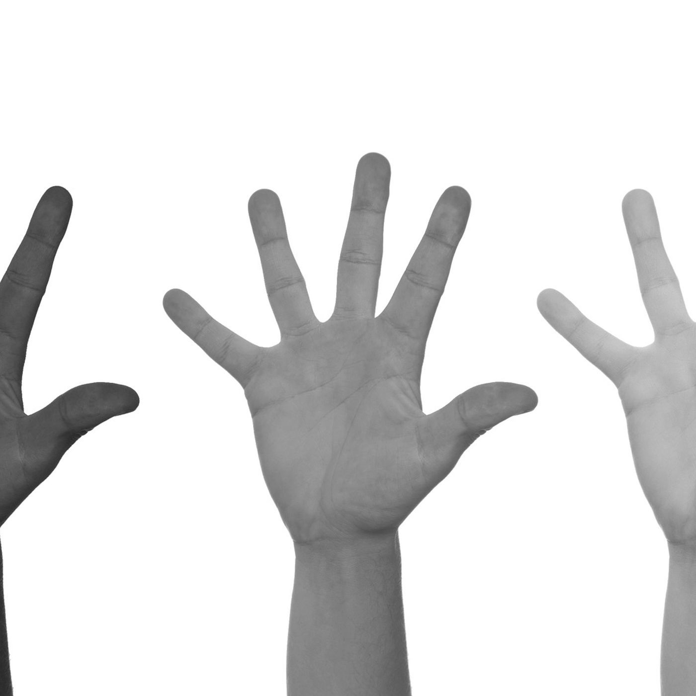Daring to Teach the Racism Truth
