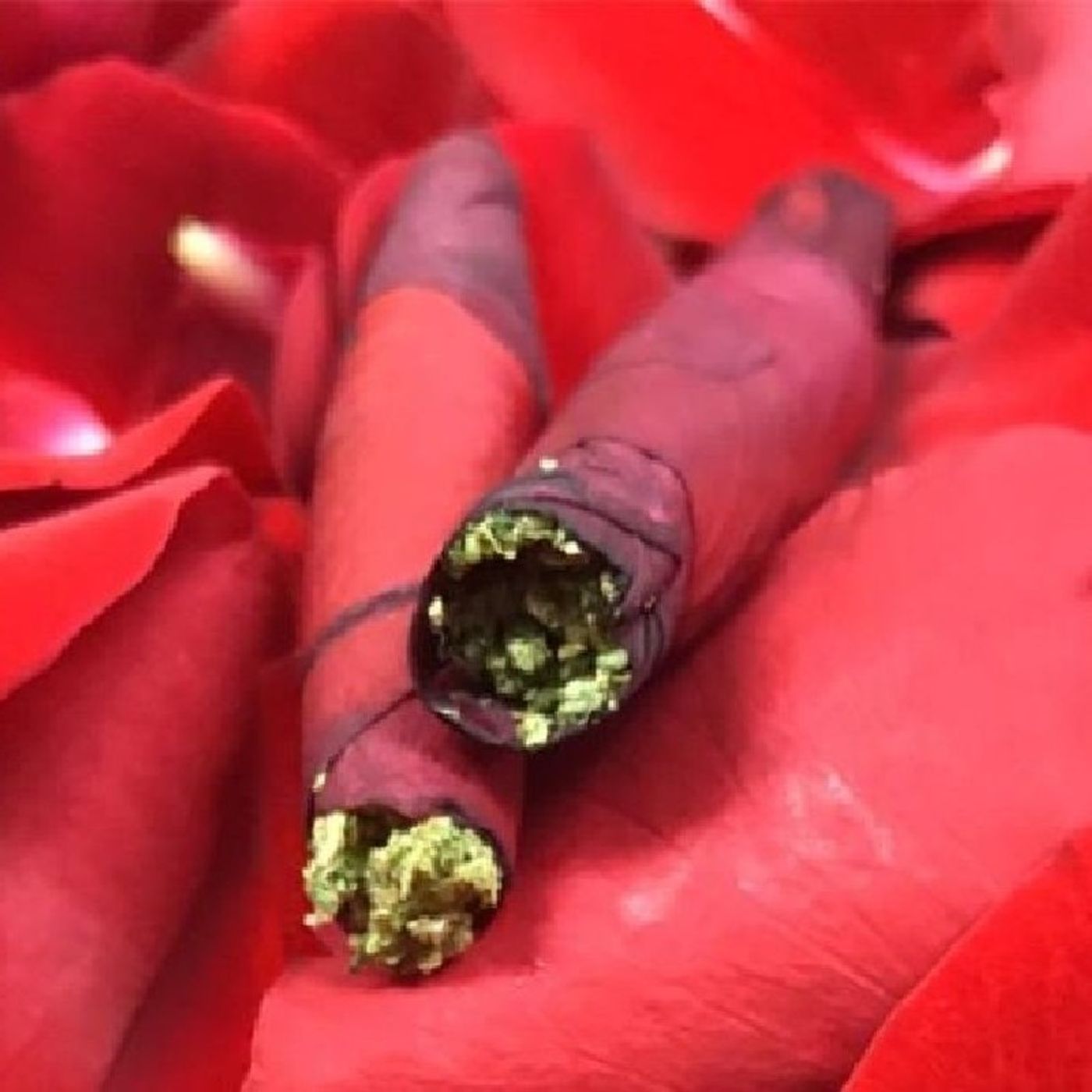 The Adventures Of Smokey and Speedy: Cheefin with knockout AKA K.O. The Adventures Of Smokey and Speedy: Cheefin with knockout AKA K.O.