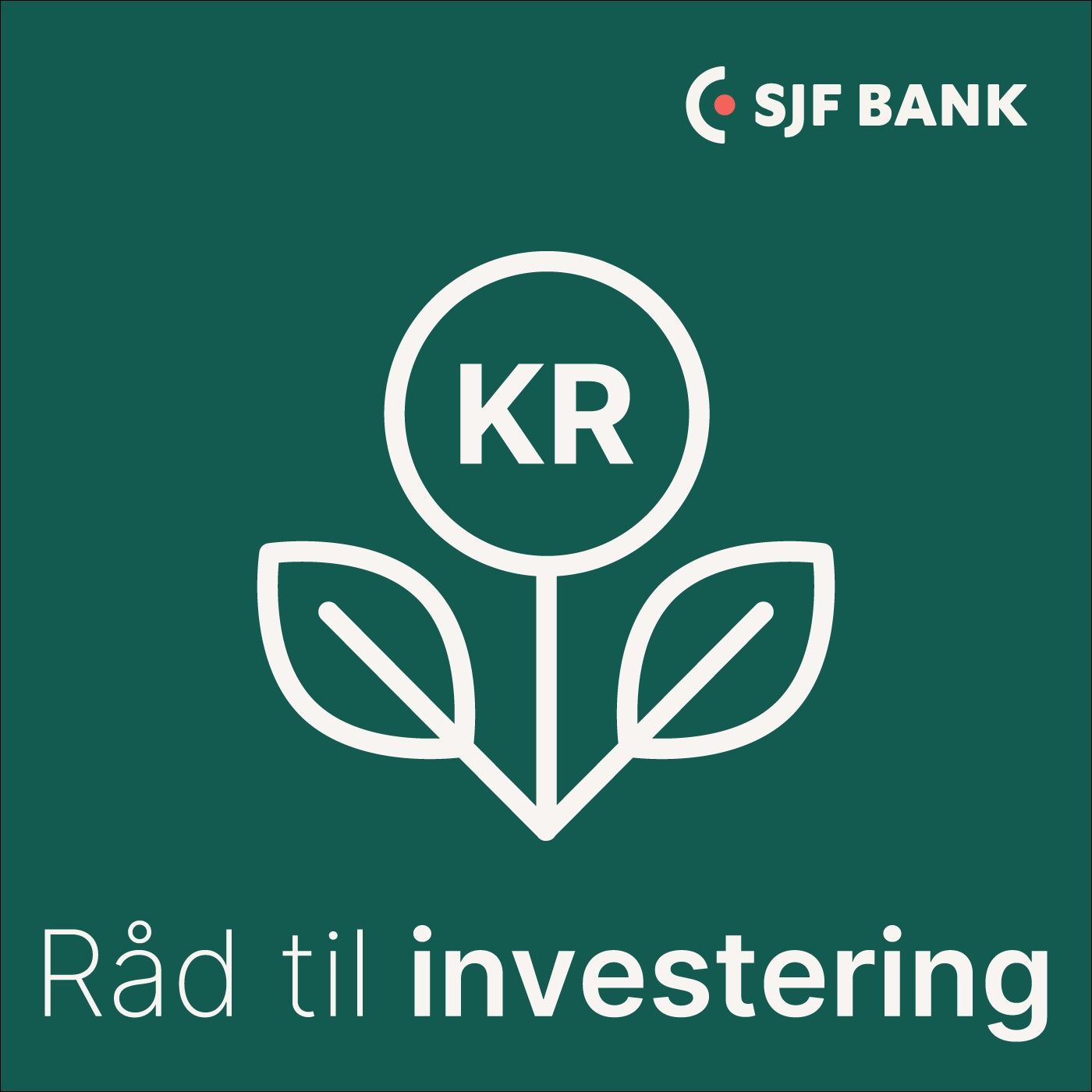 Råd til investering