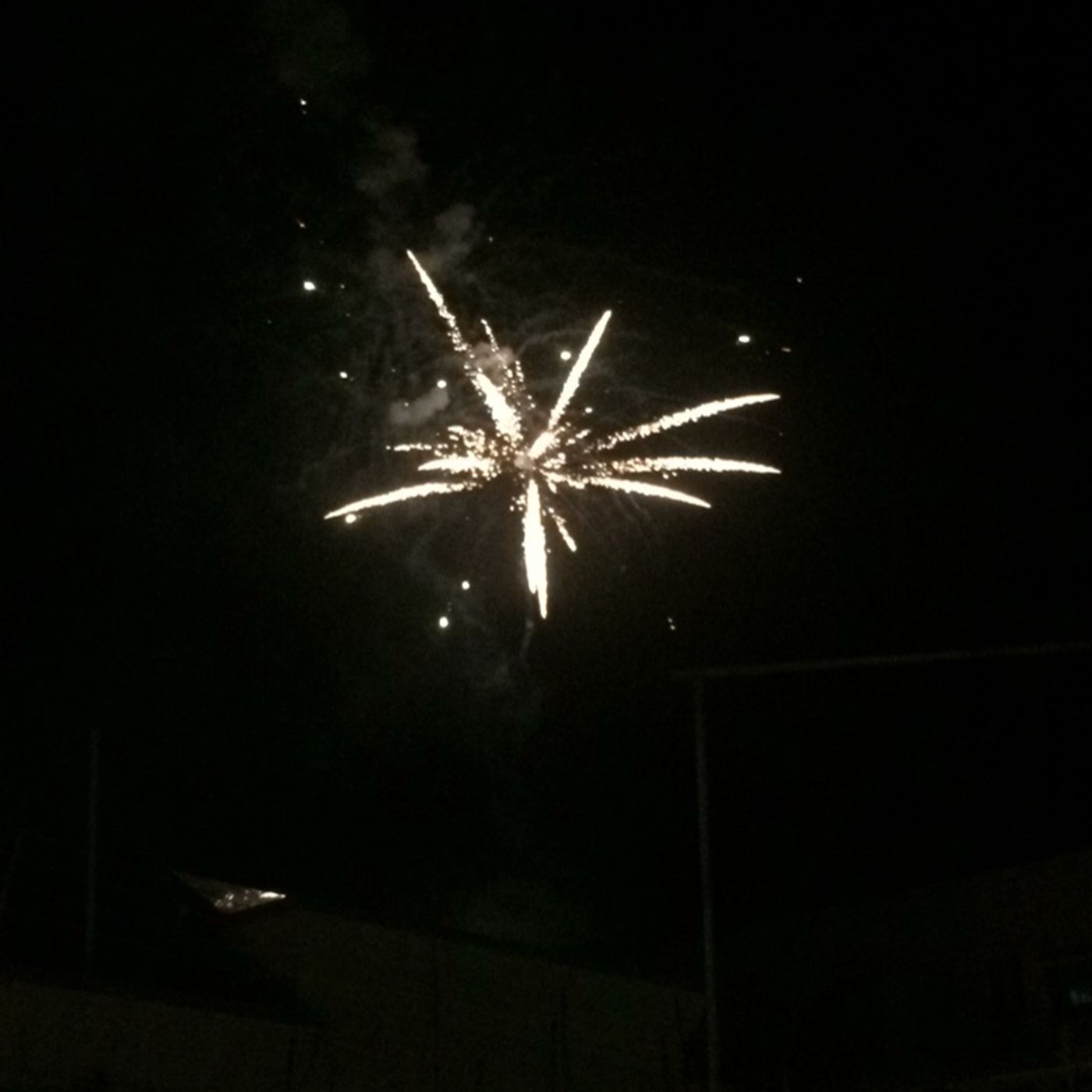 Happy New Year🎆