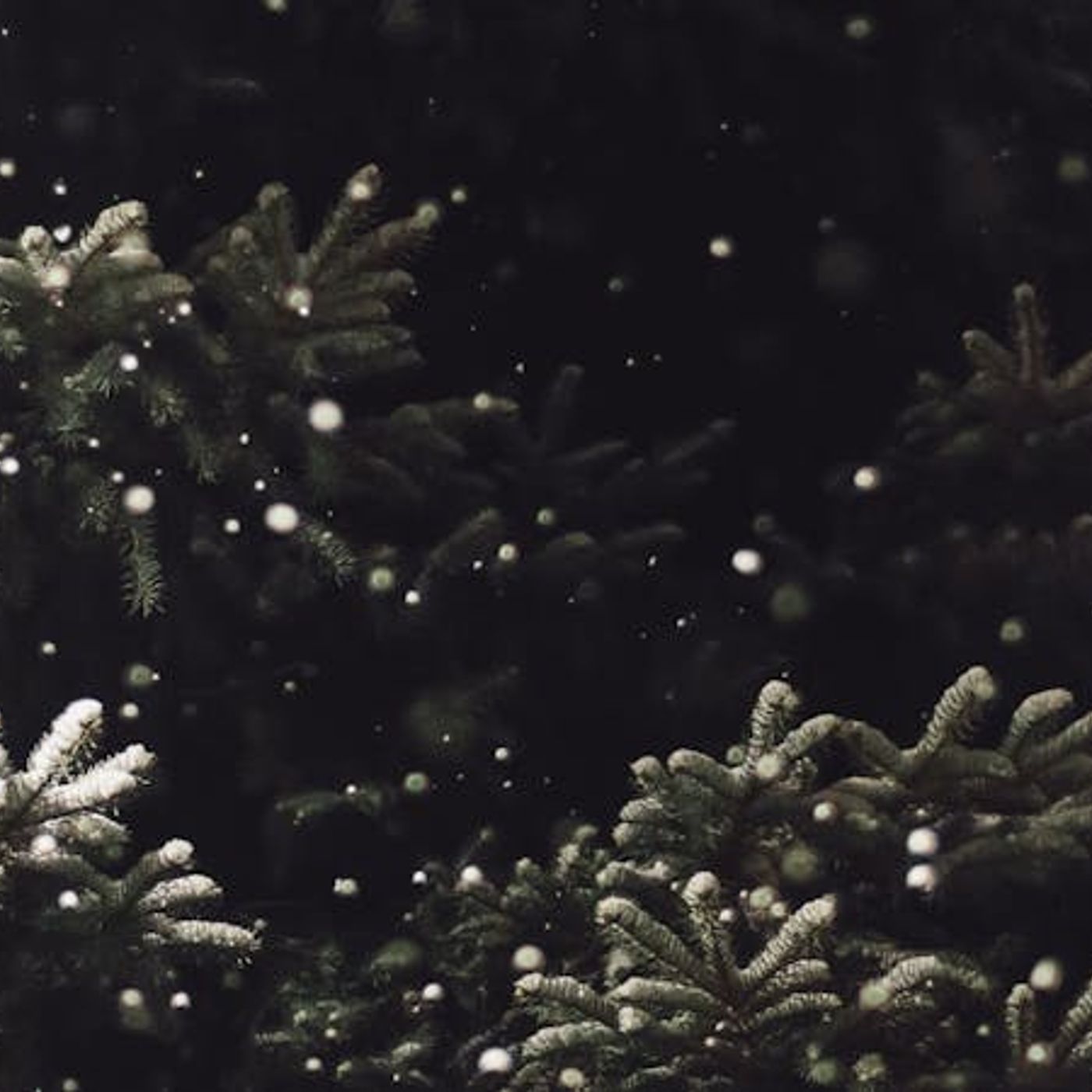 The Christmas We Needed