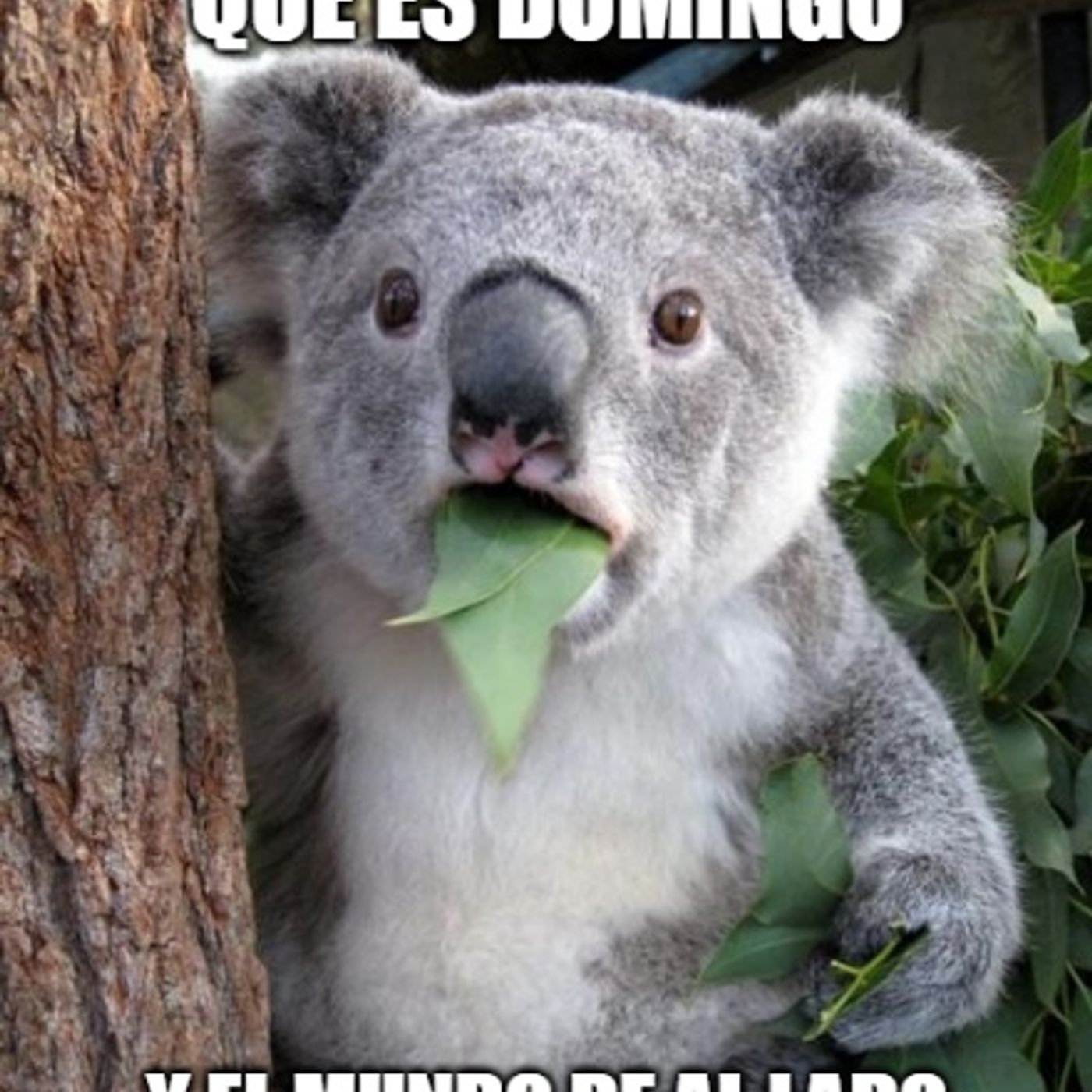 El Mundo de al Lado