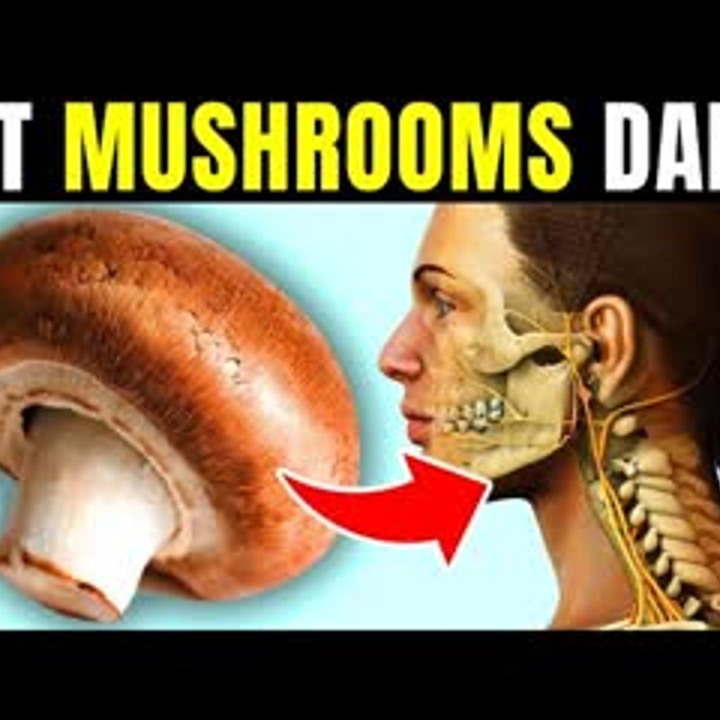 12 Health Benefits Of Eating Mushrooms Every Day episode artwork