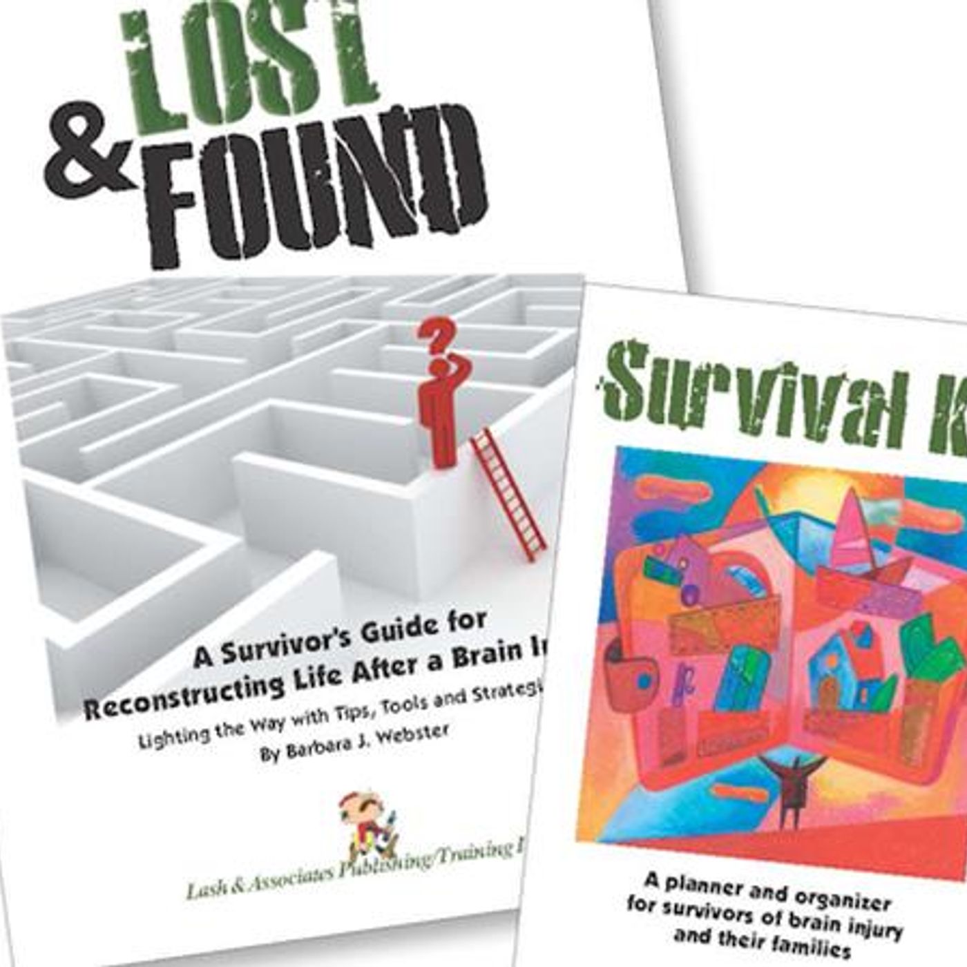 Survivor Guide for Life After Brain Injury with Kim Justus episode artwork