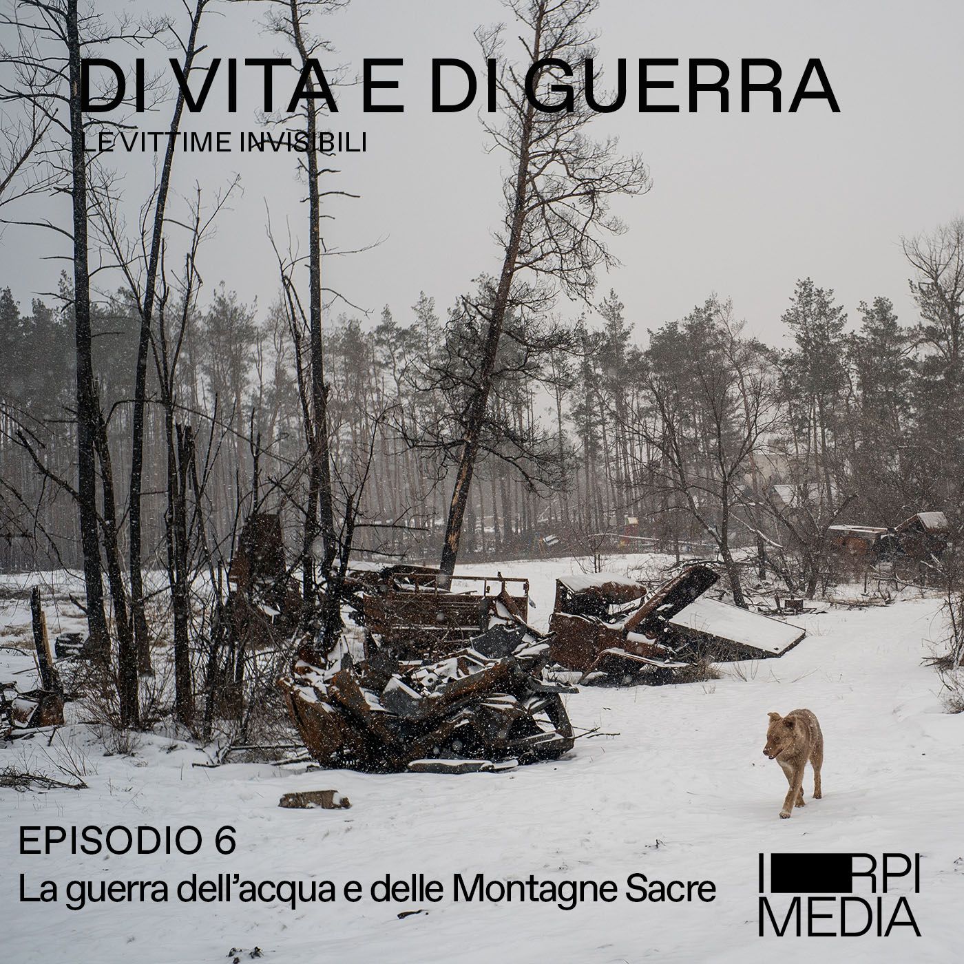Di Vita e Di Guerra - Le vittime invisibili