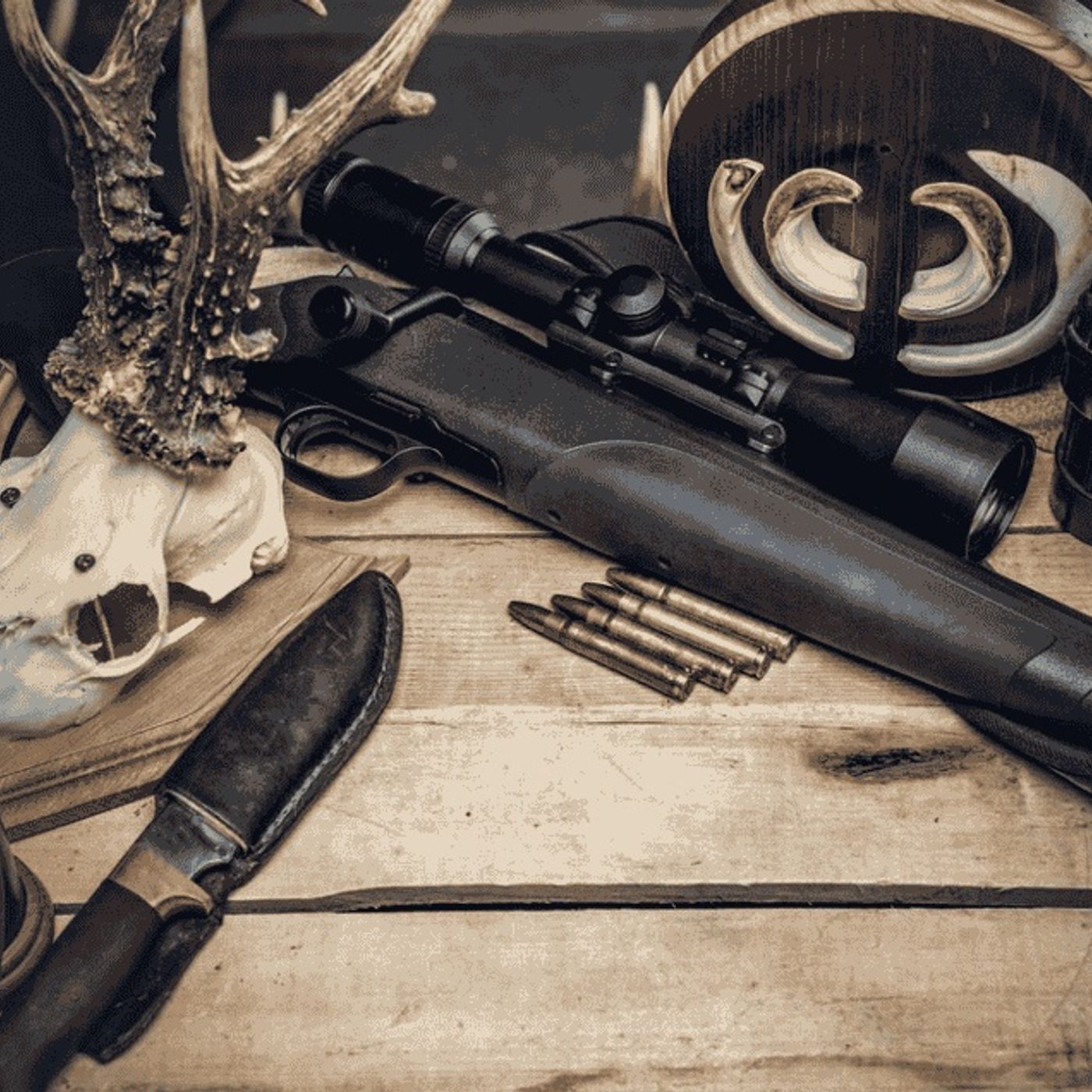 Ammunitions for Sale