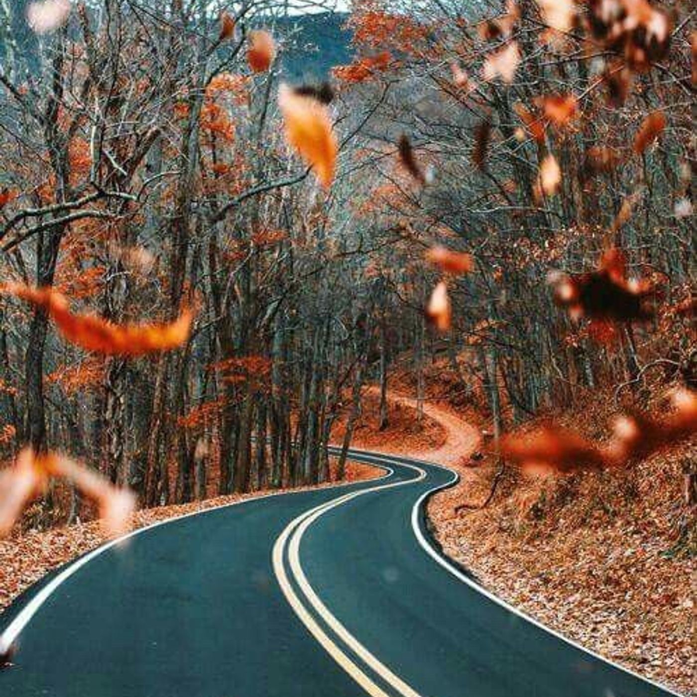 Guided Meditation - Fall Inspired "End of an Era"