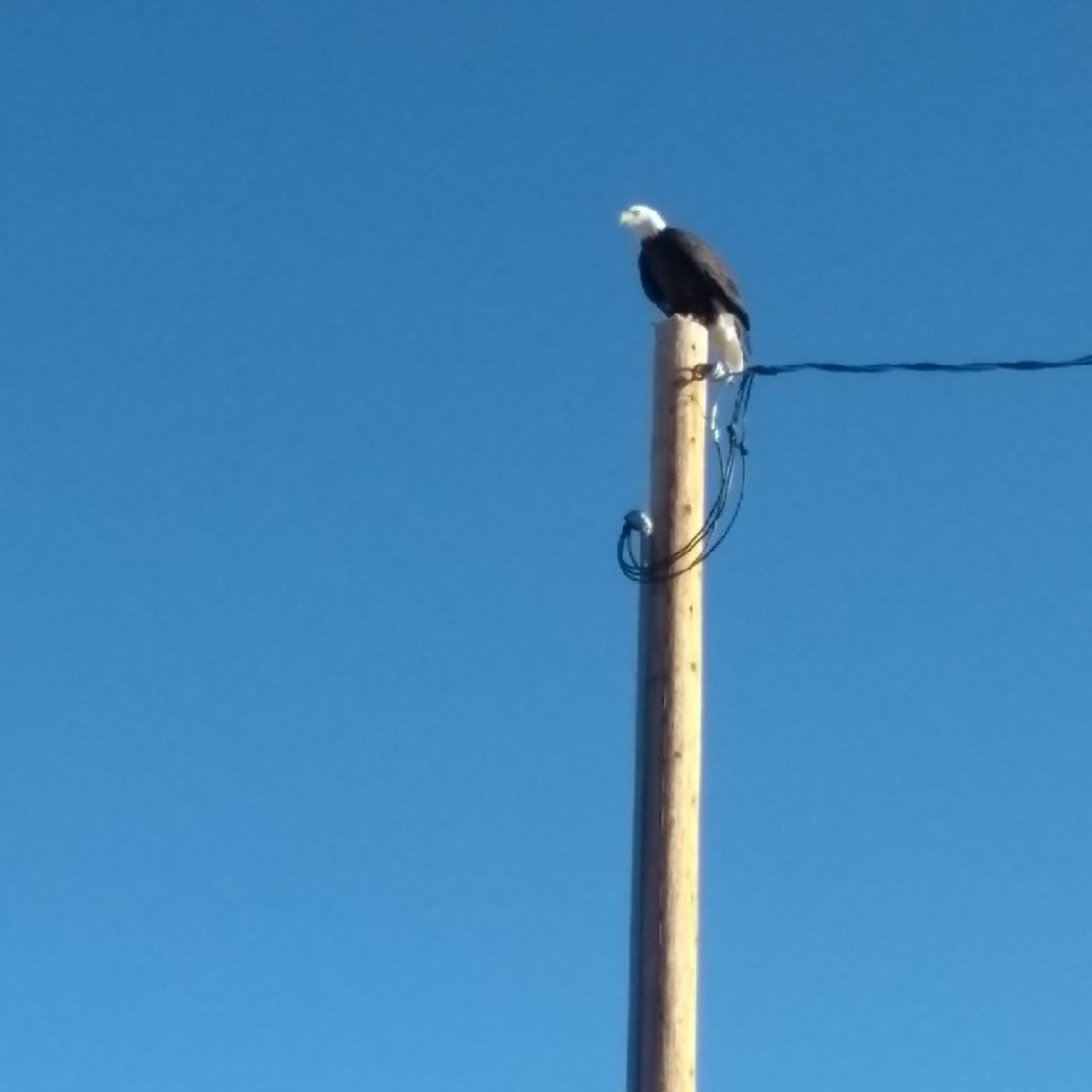 Episode 11 - Journey Into Freedom Episode 11 - Journey Into Freedom