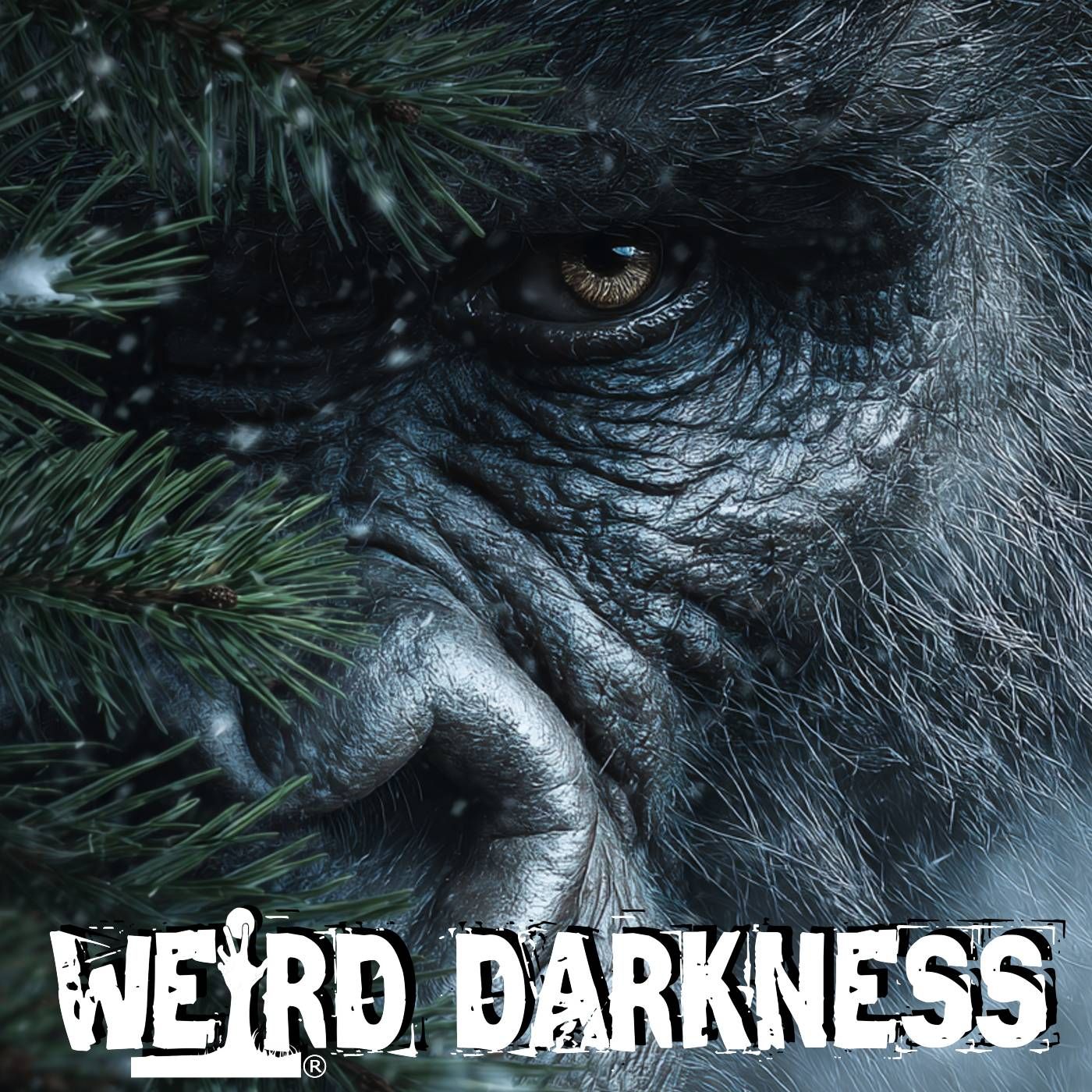 True Bigfoot Stories | The Encounters You Know, The Paranormal Ones You Don't!