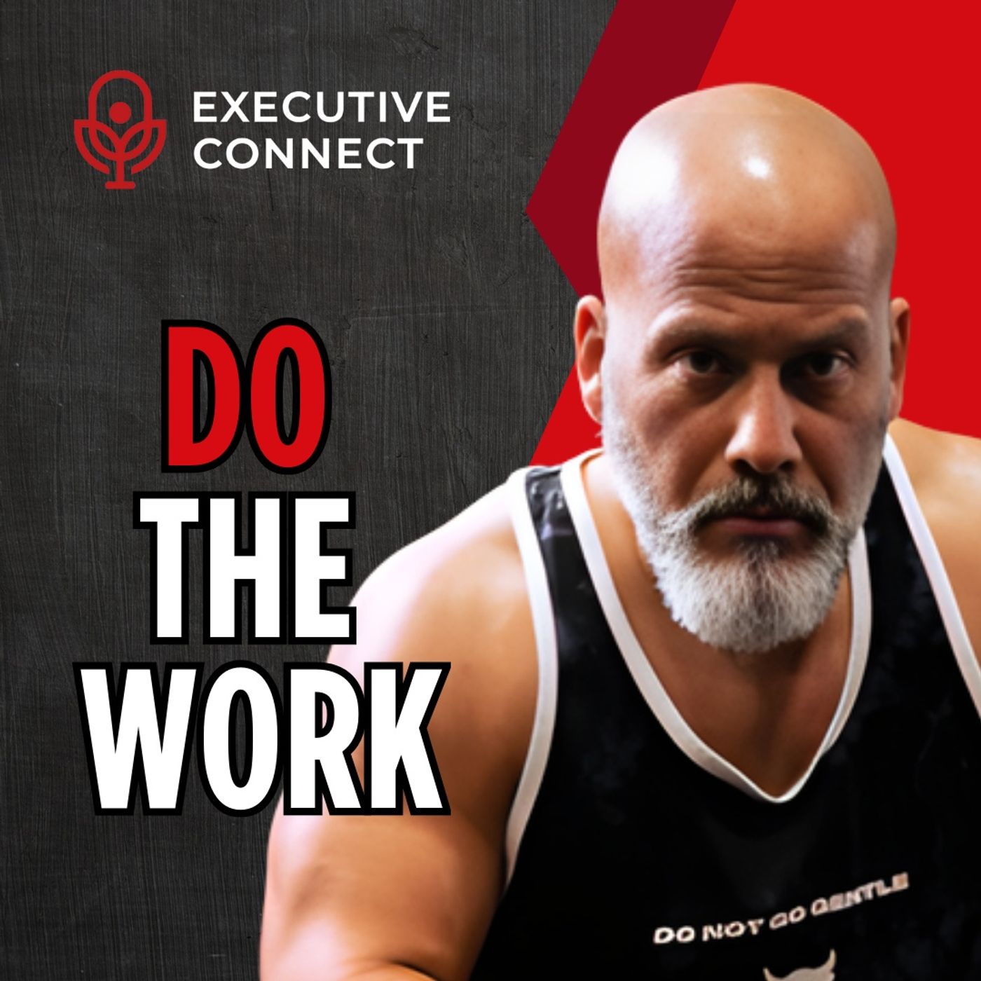 The Executive Connect Podcast