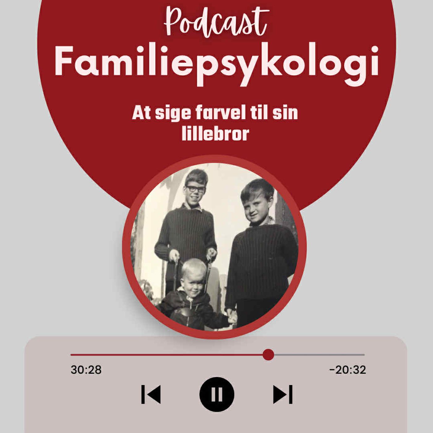 Farvel lillebror Farvel lillebror