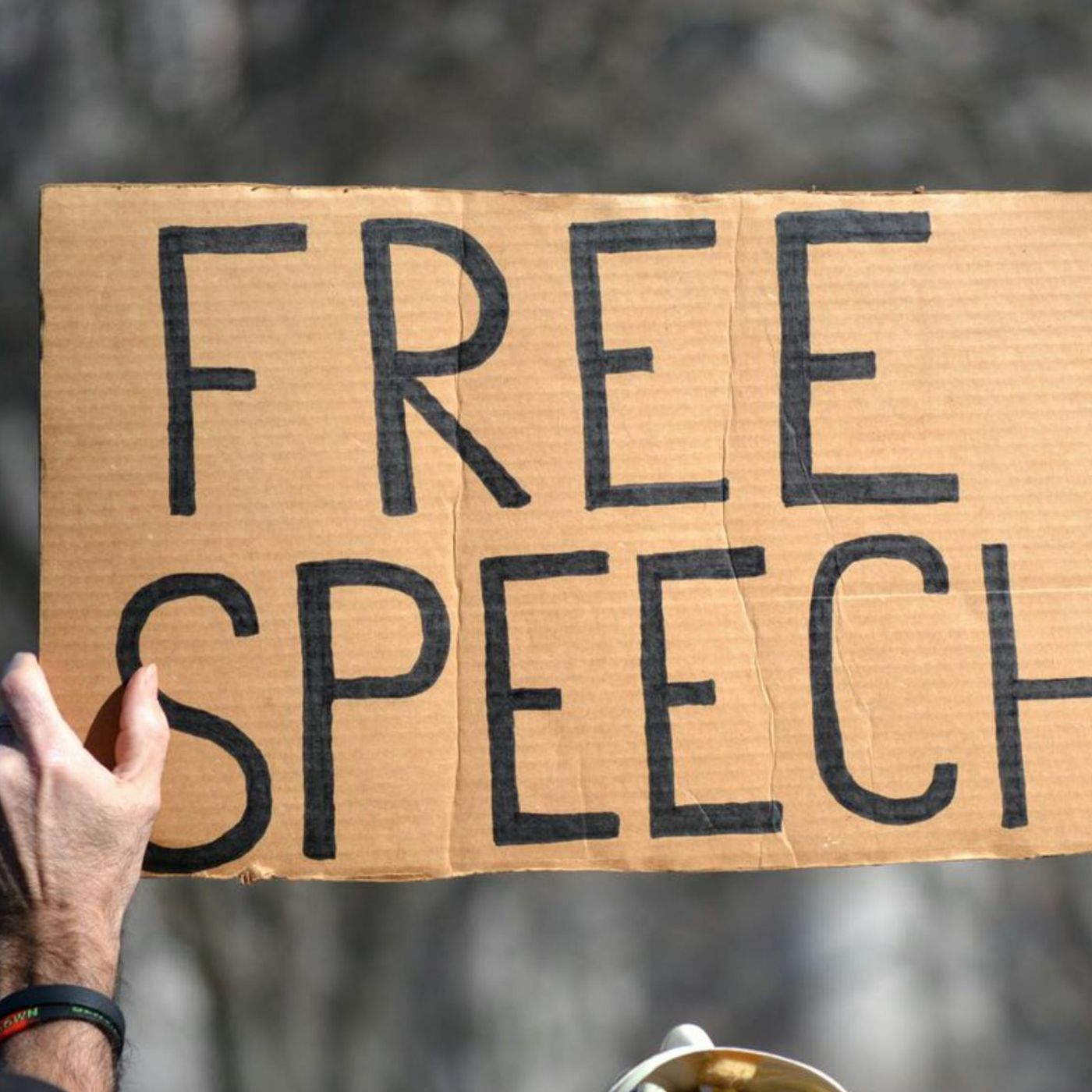 Free Expression in America episode artwork
