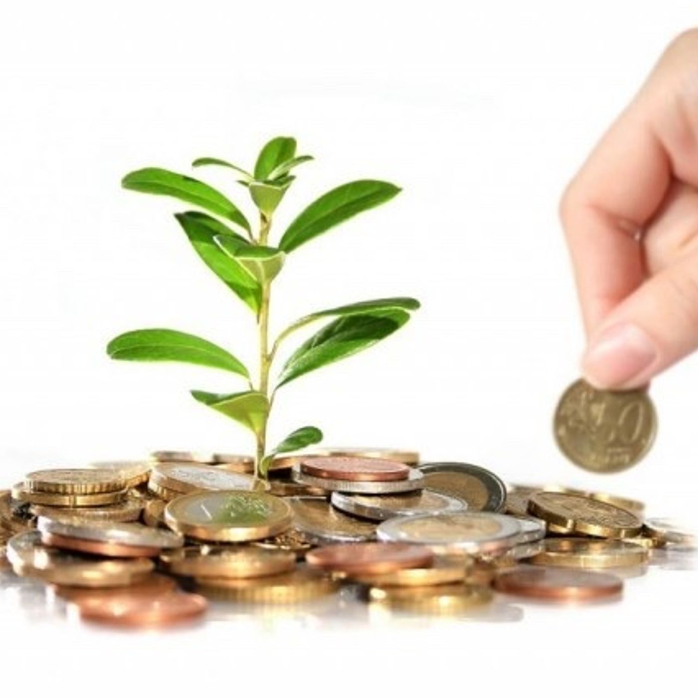 Passione Economia