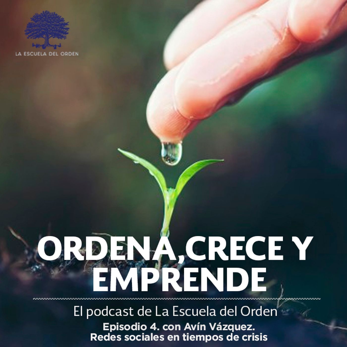 Ordena, crece y emprende