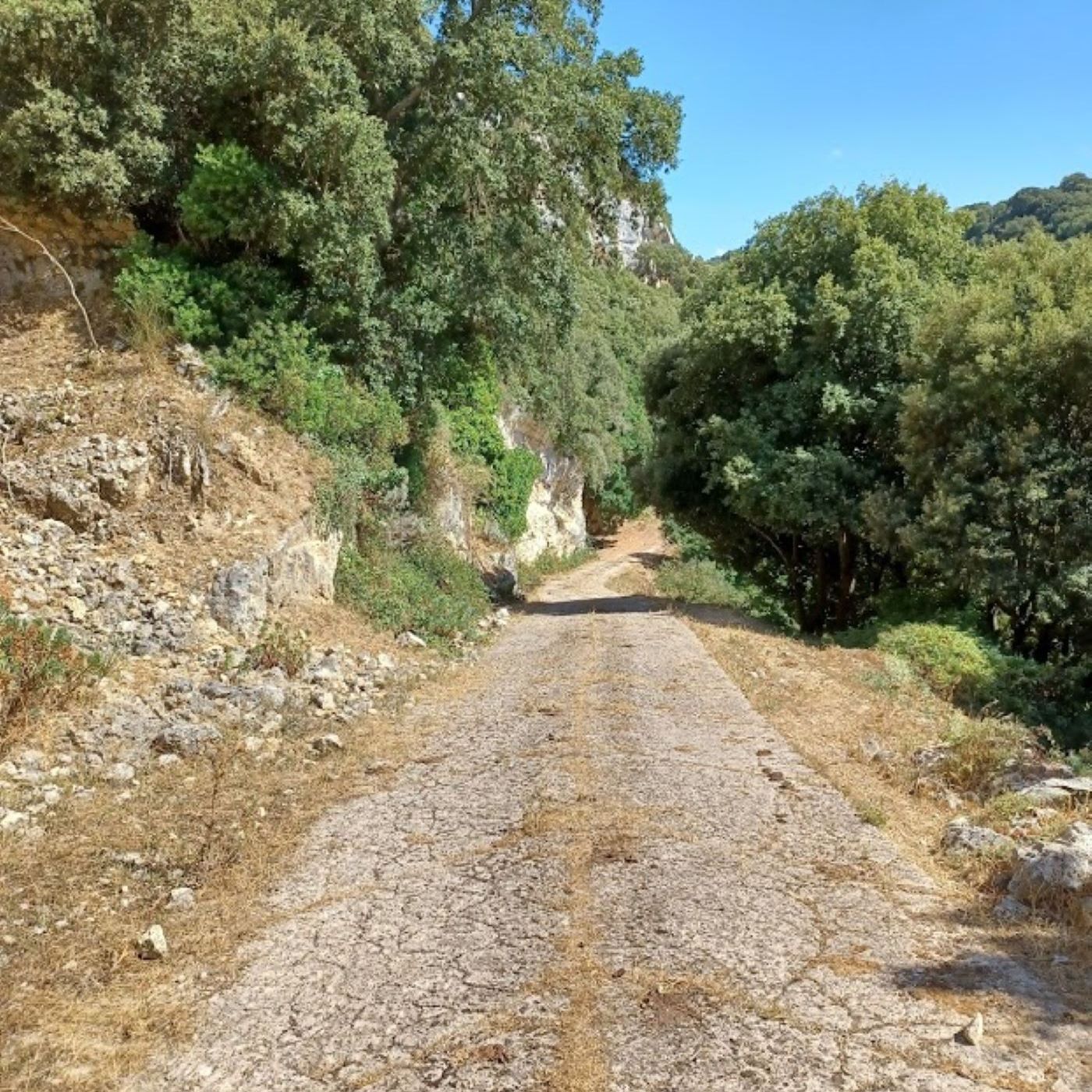 Commenti al Vangelo