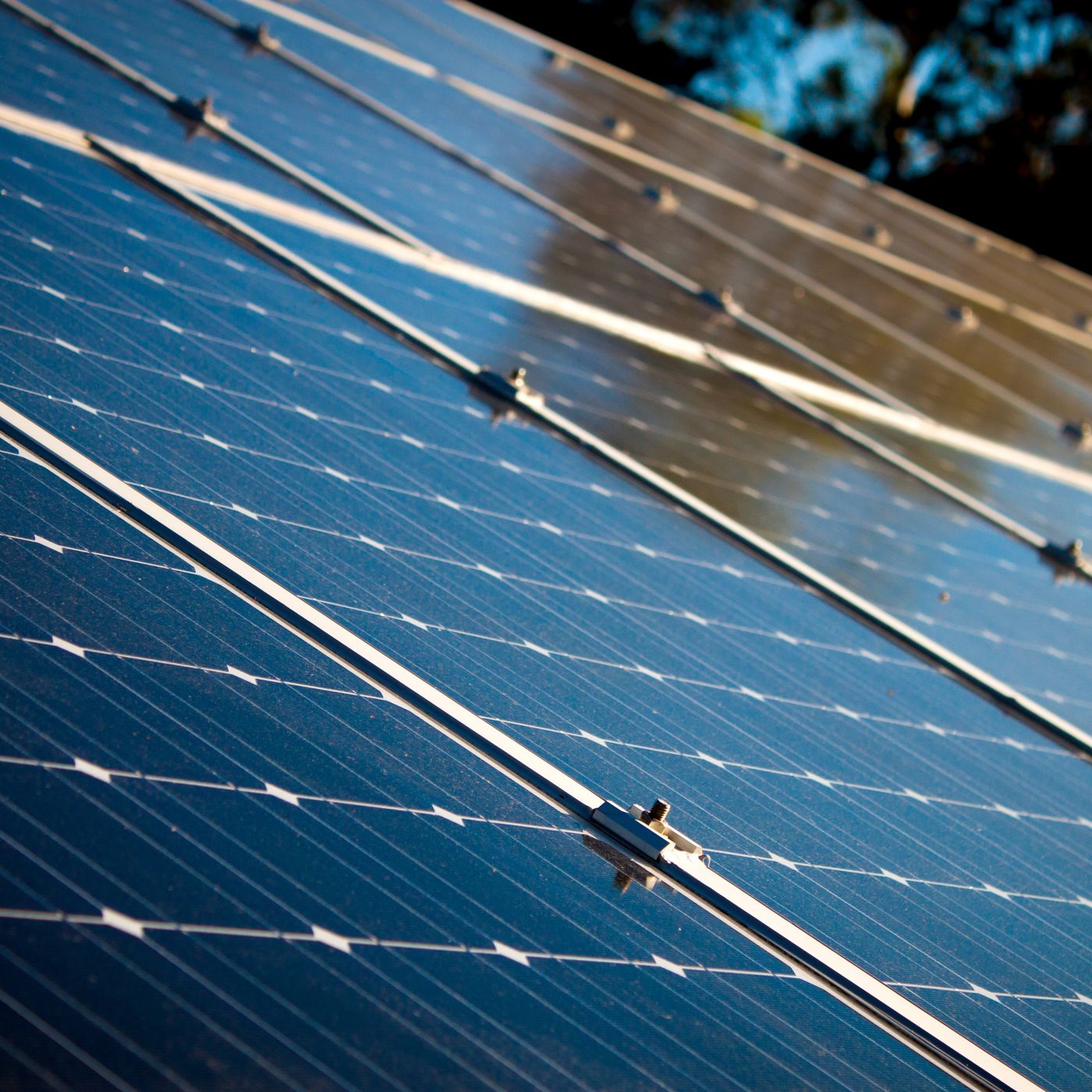 The Think Liberty Podcast - Episode 16 - LvMI Drama, Solar Panels, 5G Communism, and more.