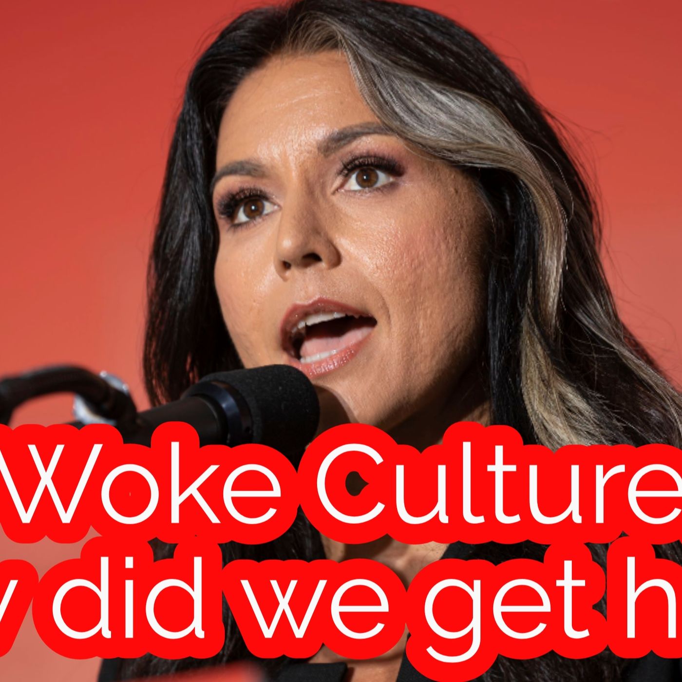 Woke Culture, how did we get here?  Tulsi Gabbard via Joe Rogan Experience #tulsigabbard #joerogan episode artwork