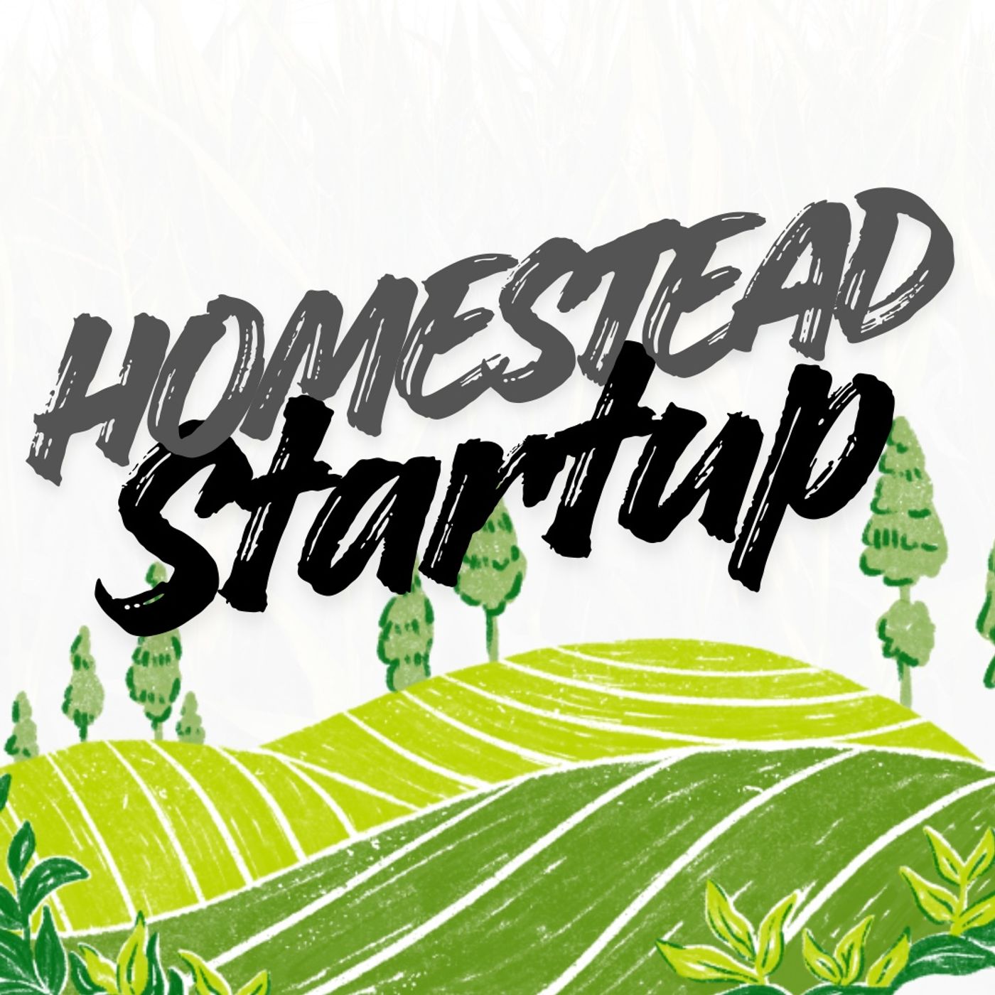 Homestead Startup cover art