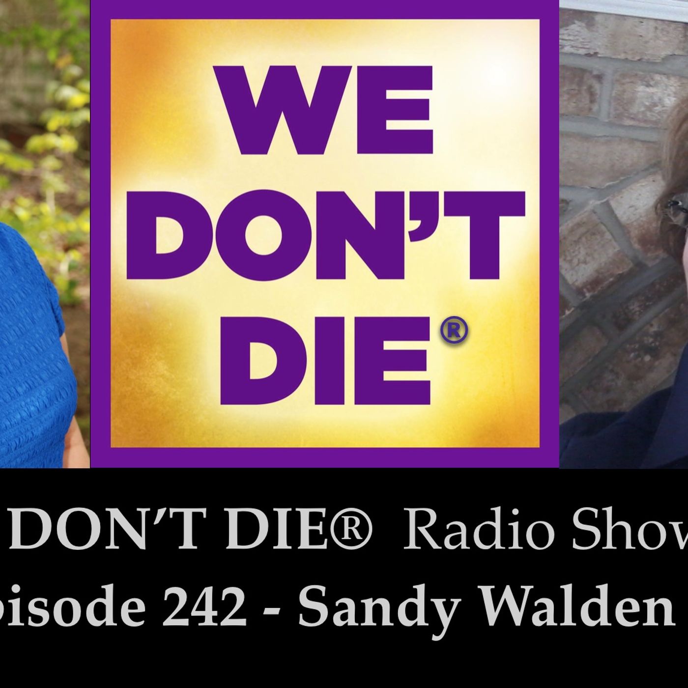 242  Sandy Walden - The Acorn Journal - Messages of Connection from The Other Side