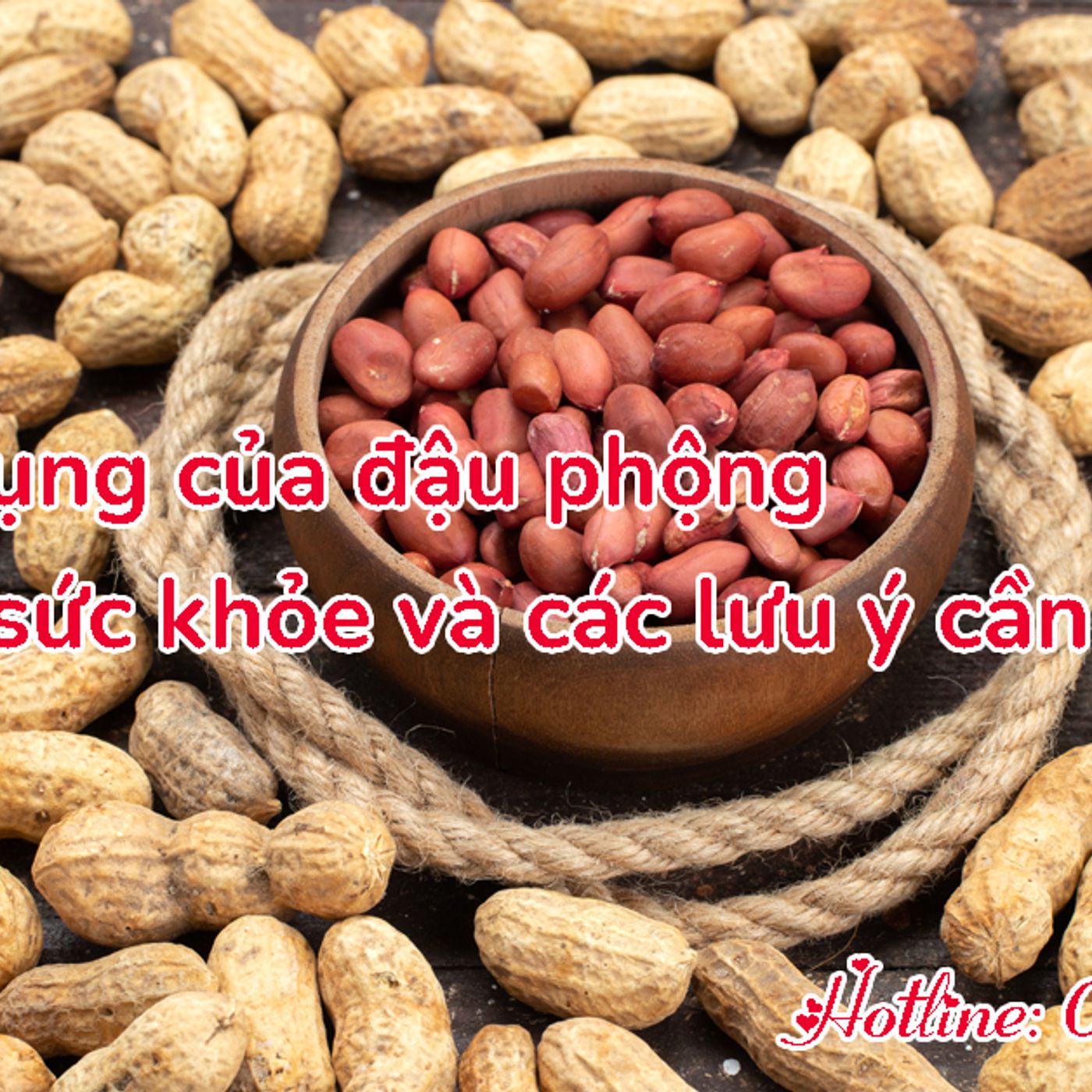 Đồ lót giá sỉ - Áo ngực, áo bra, quần lót nữ chất lượng cao!