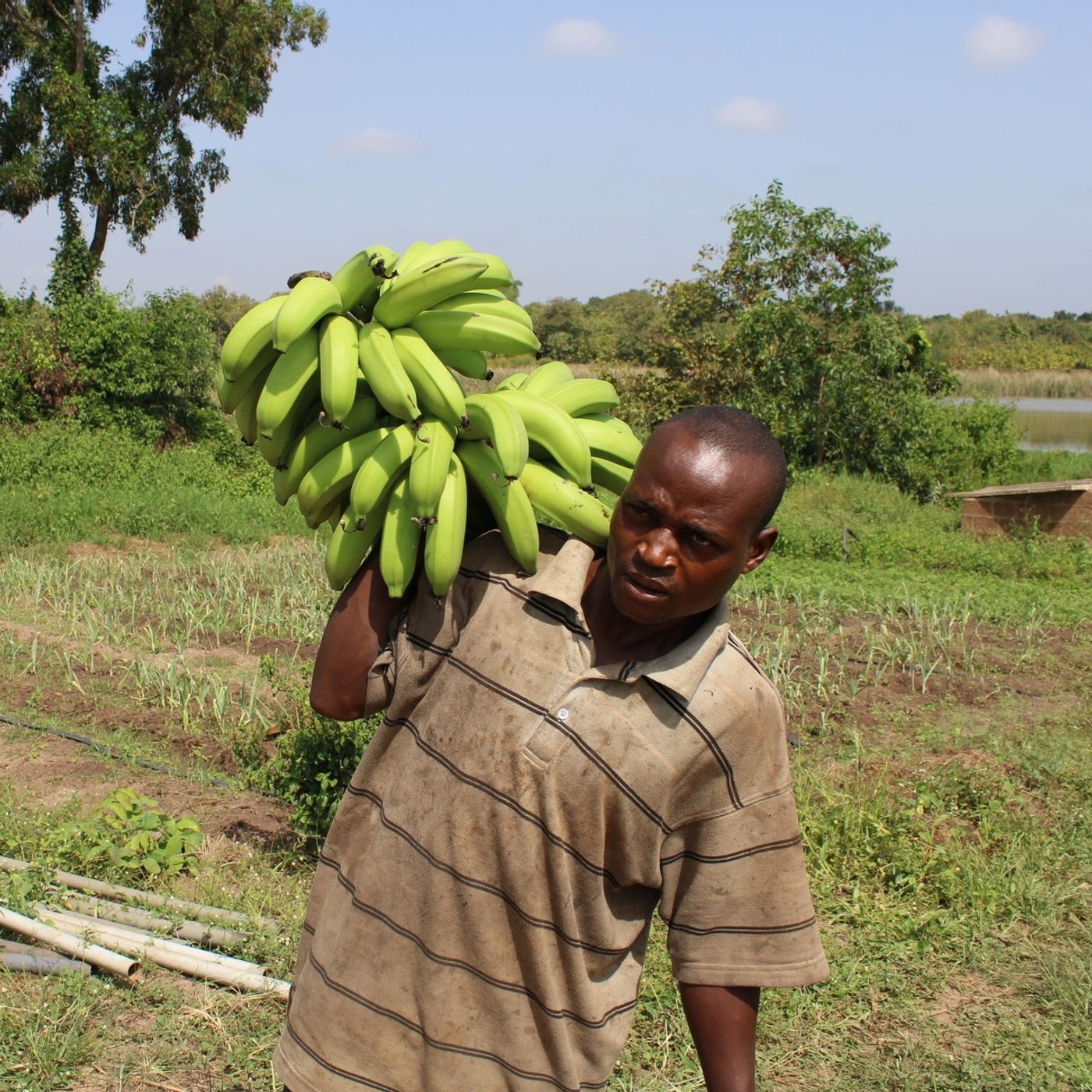 Studio Kalangou (français)
