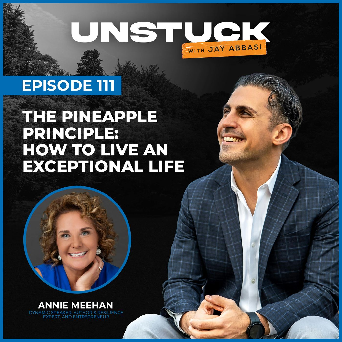 103: The Pineapple Principle: How to Live an Exceptional Life