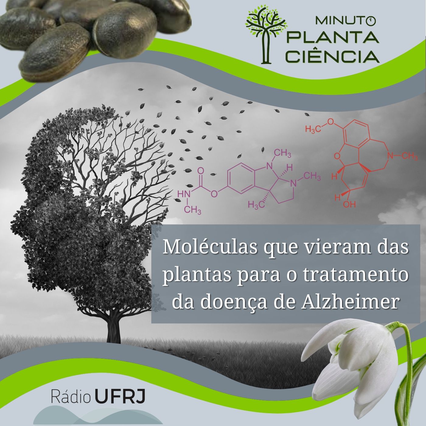 PlantaCiência