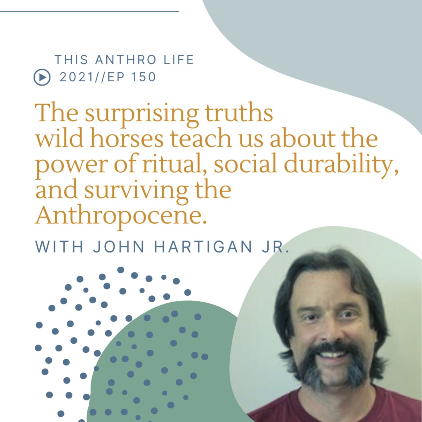 The surprising truths wild horses teach us about the power of ritual, social durability, and surviving the Anthropocene with John Hartigan J