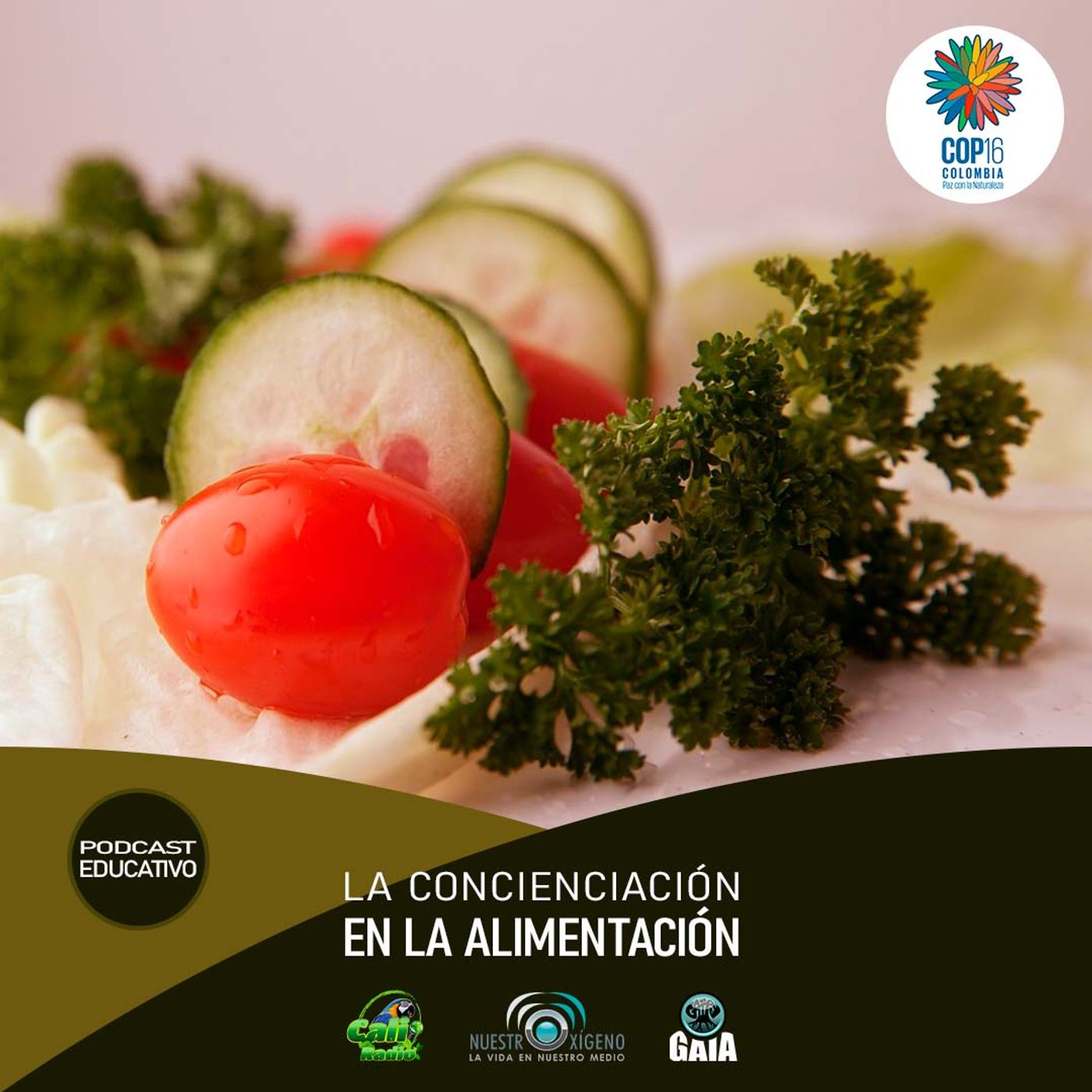 NUESTRO OXÍGENO La conciencia en la alimentación - Lic. Hugo Hernando Bernal episode artwork