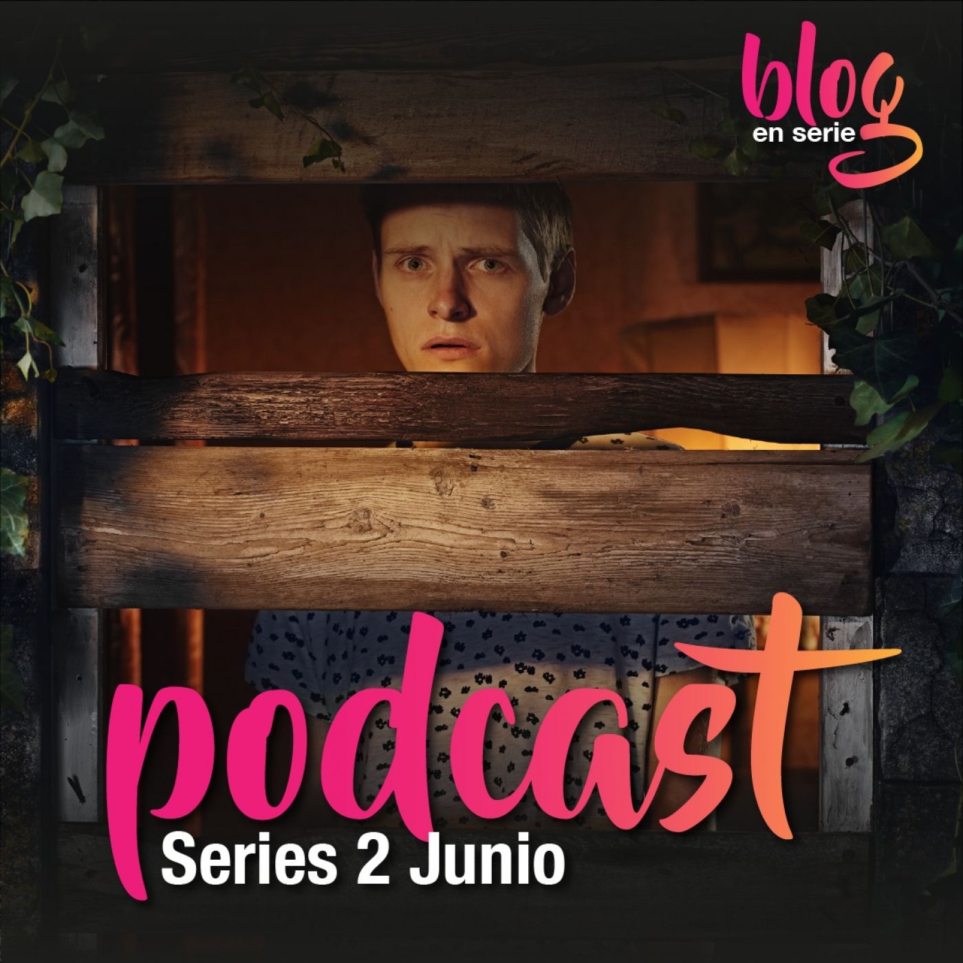 Blog En Serie