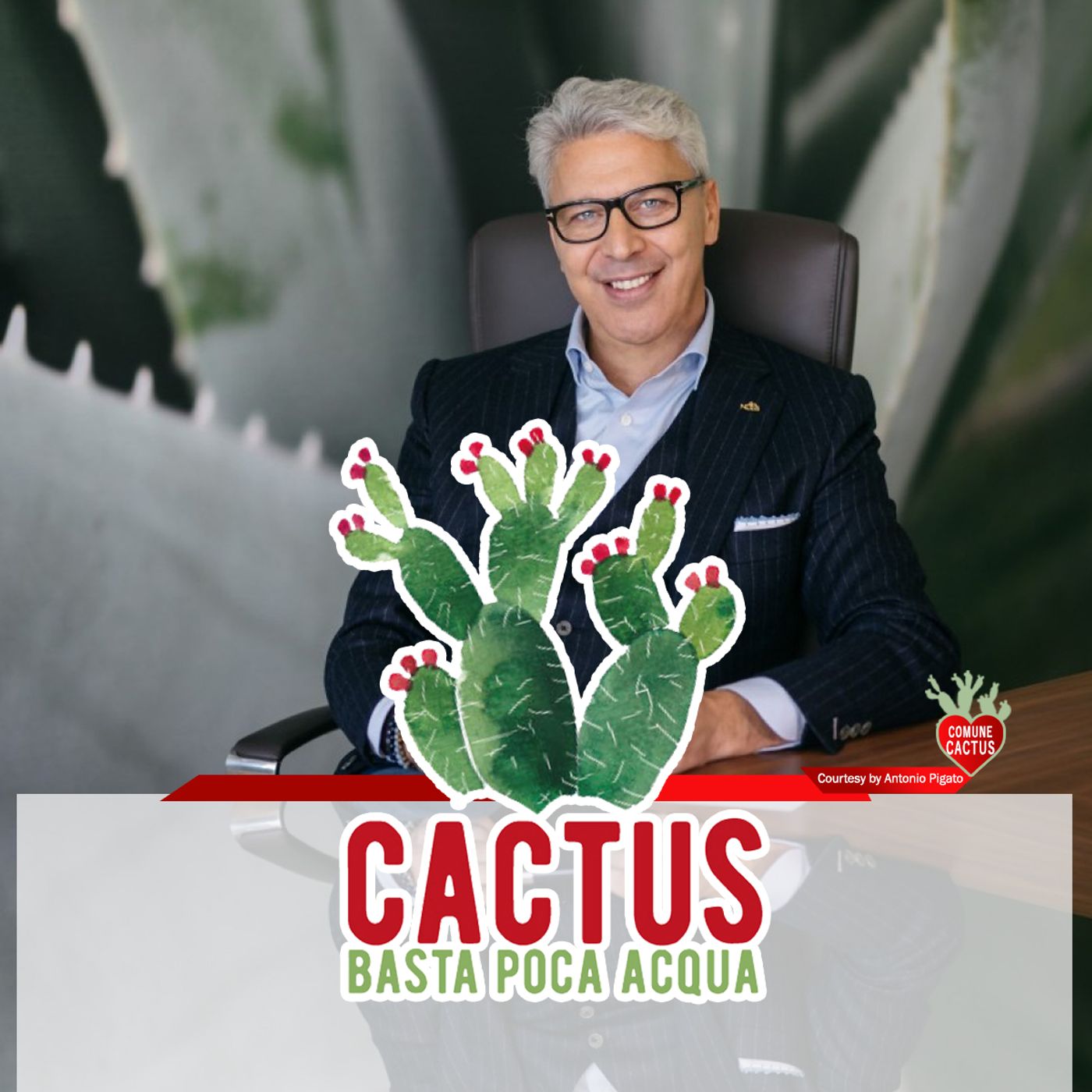 Cactus
