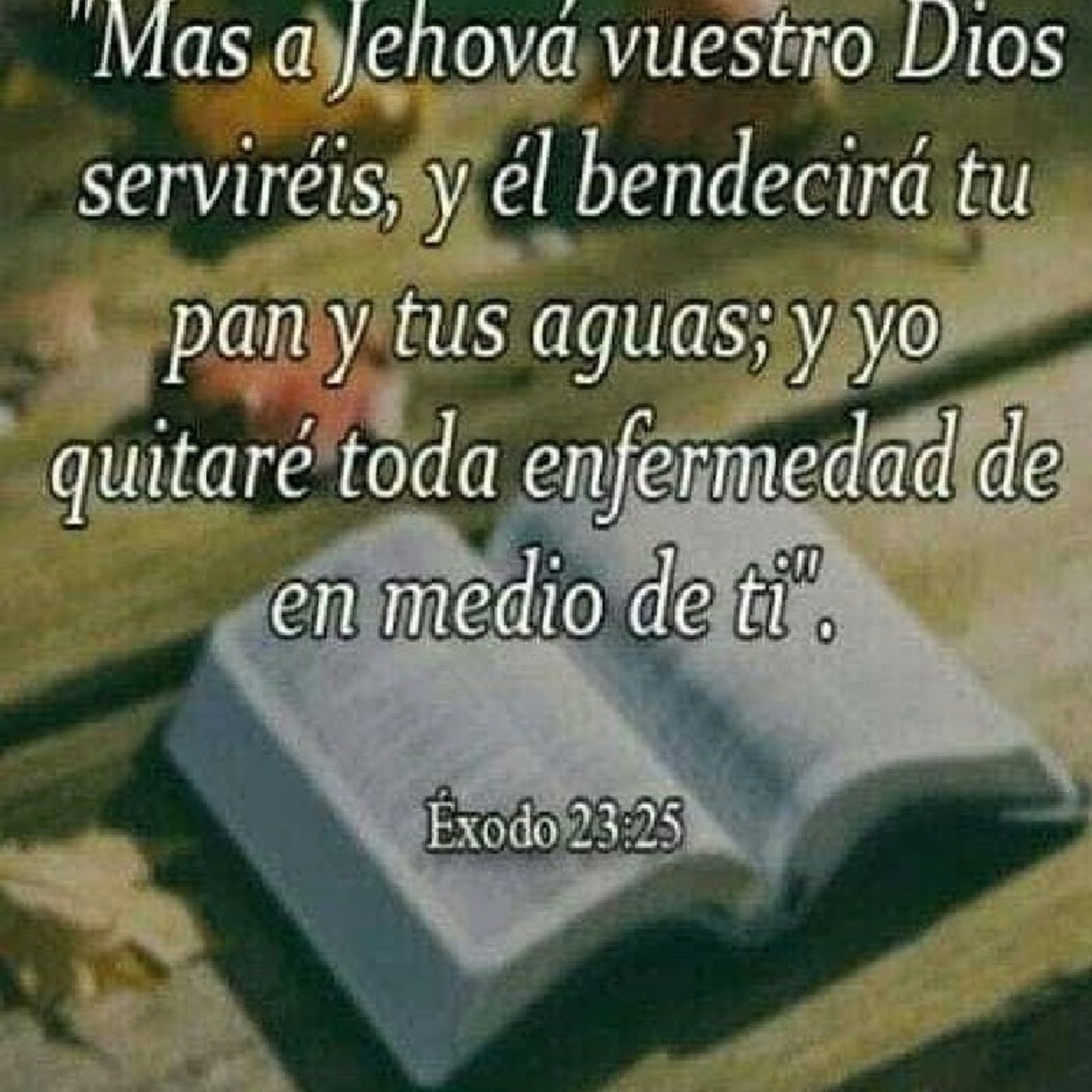 El podcast de Jesus Villarreal