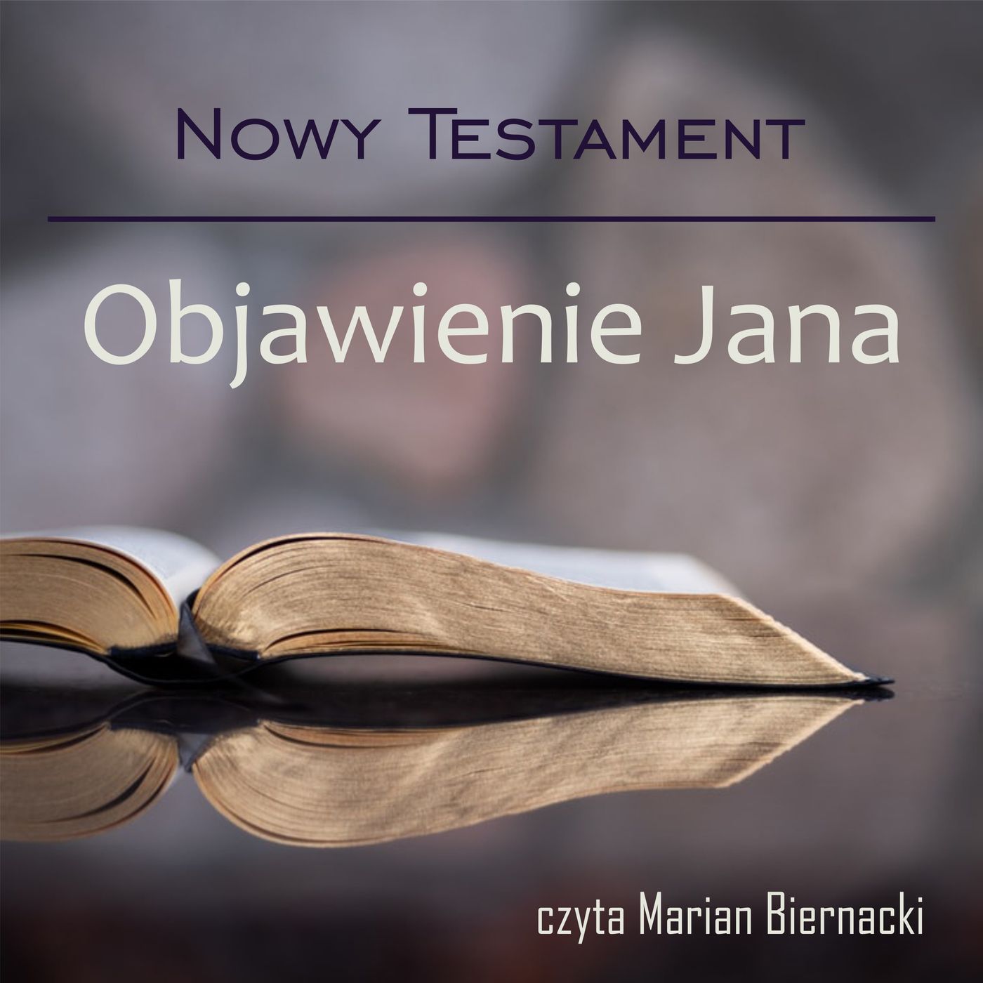 Biblia Audio Nowy Testament