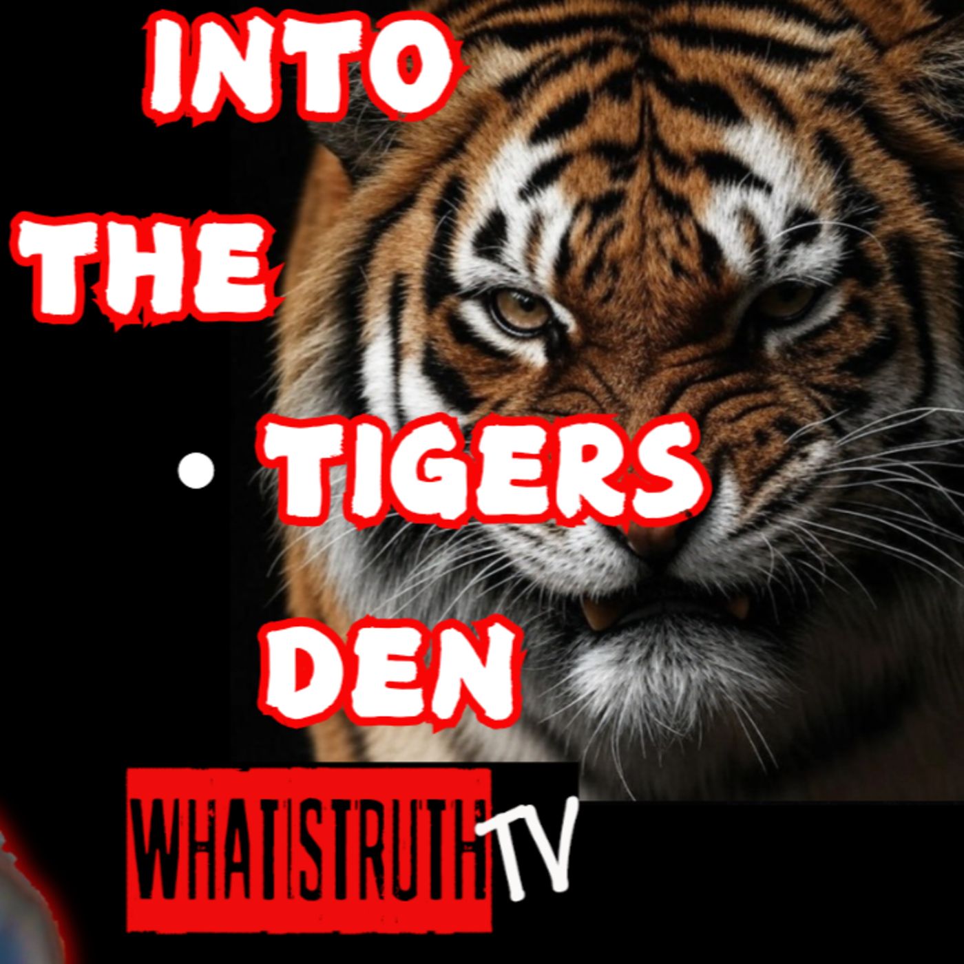 #225 Going Into the Tigers Den with the Angry Tiger episode artwork