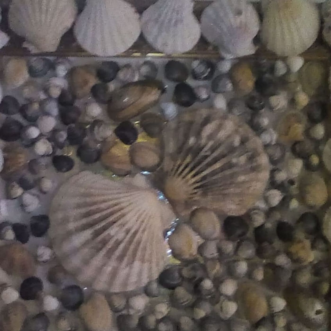 Tracce dalla quarantena