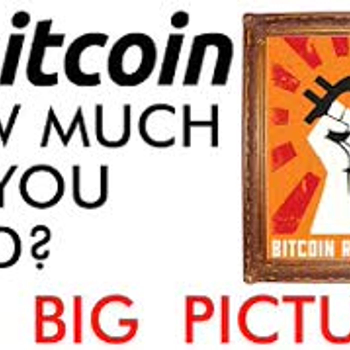 cover of episode How Much Bitcoin Do You Need The Big Price Picture [2020]