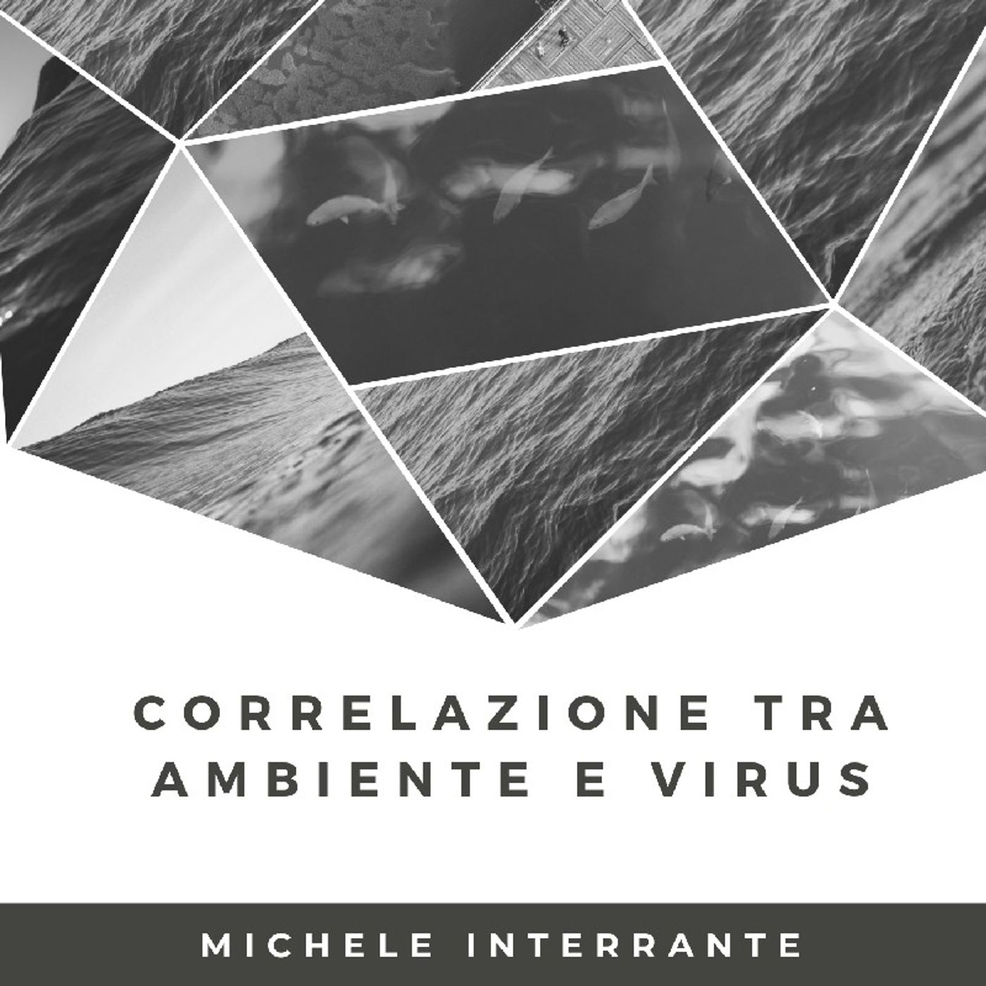 Podcaster: Michele Interrante