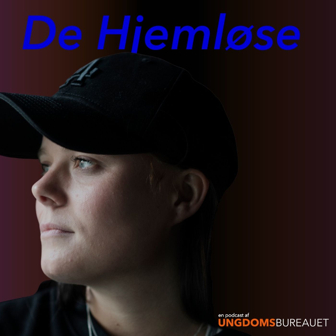 De Hjemløse af Ungdomsbureauet