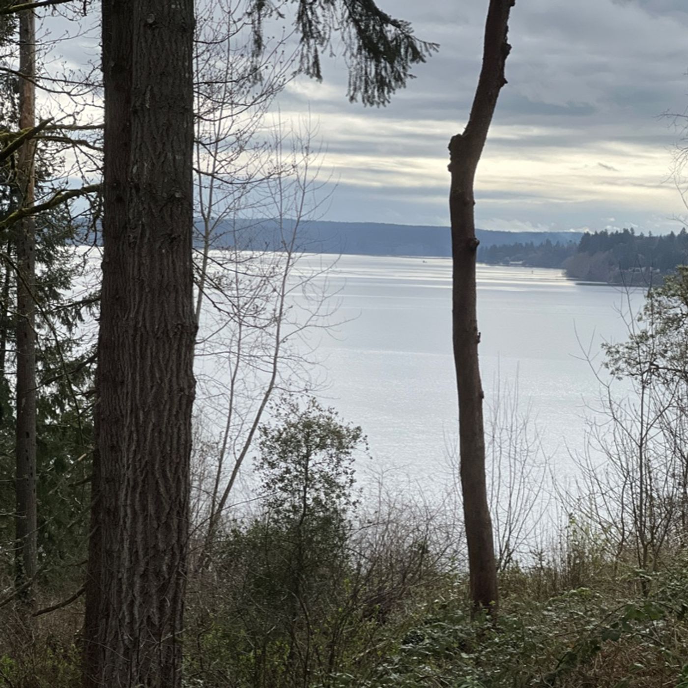 Episode 134 - On stewardship, outdoor gardening, and biochar magic :)