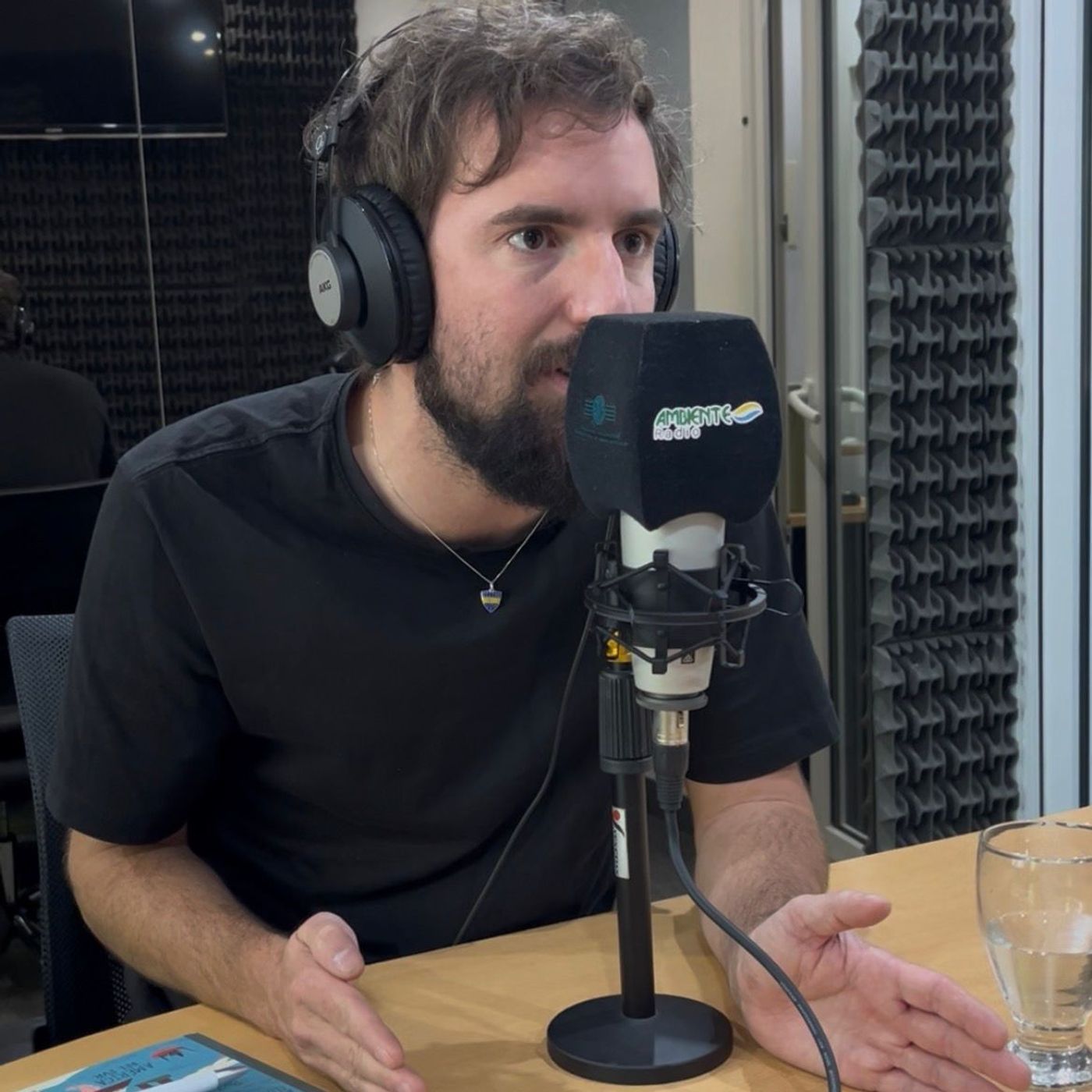 Portada de Ecosistemas