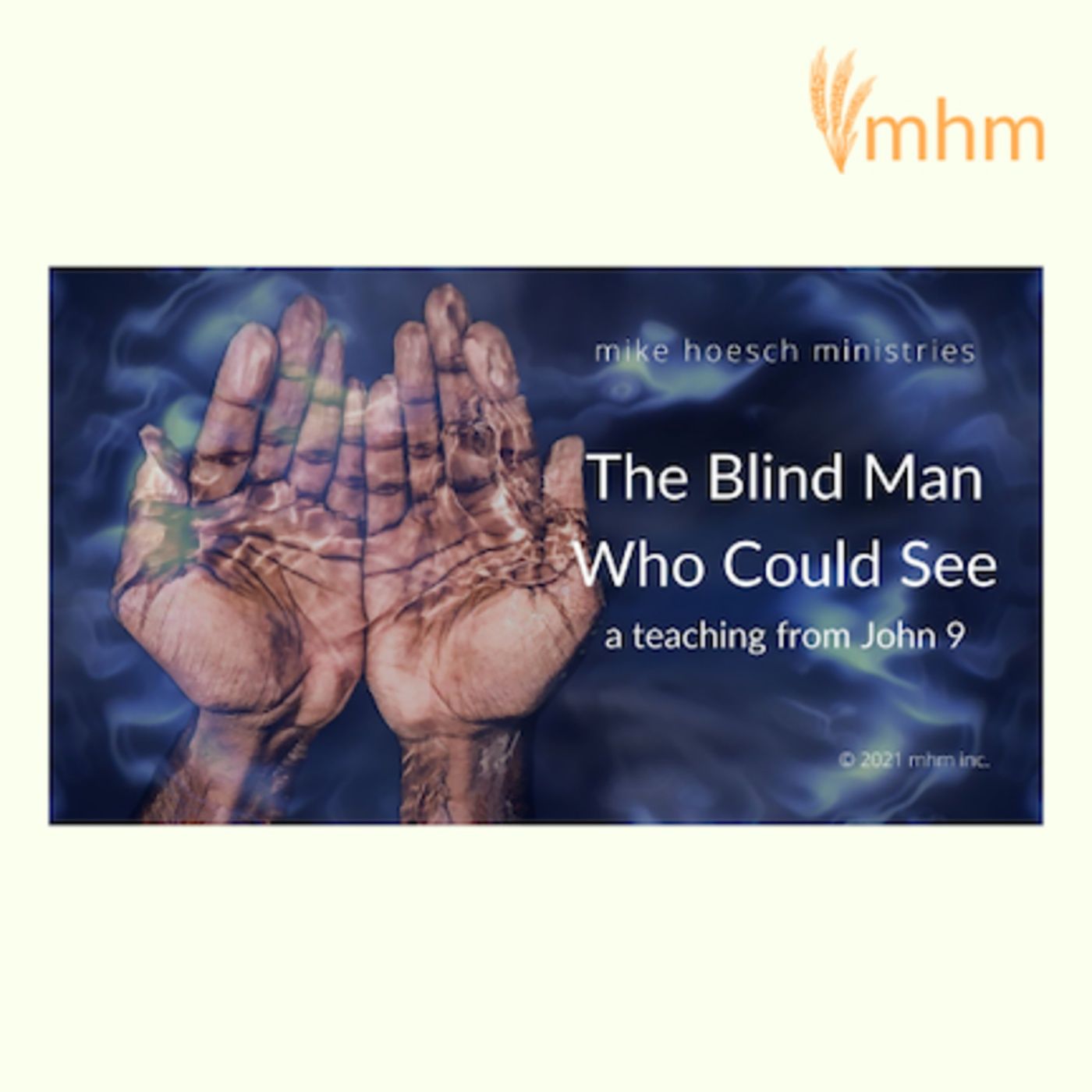 The Blind Man Who Could See