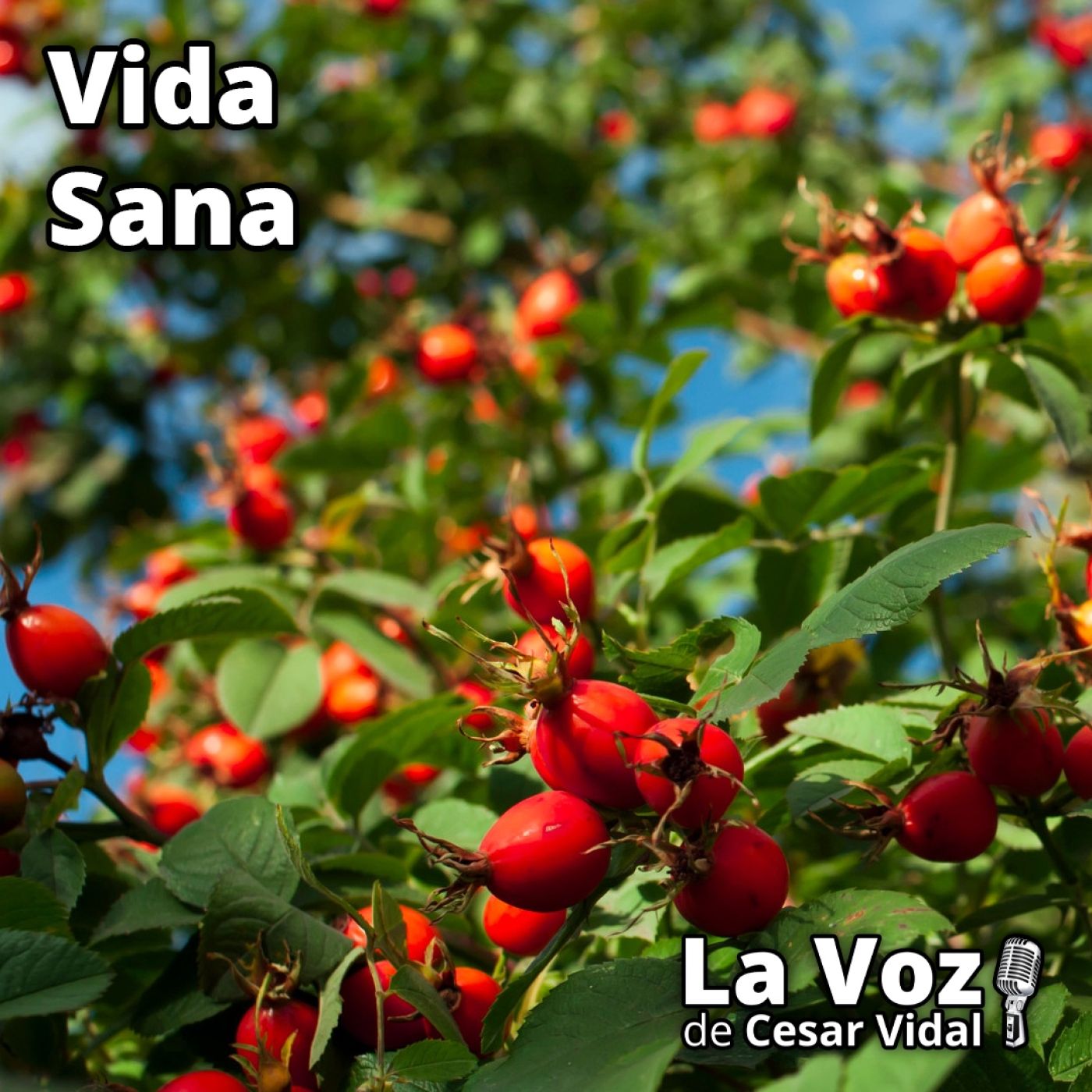 Vida Sana: Receta fácil y asequible para el dolor de las articulaciones - 22/10/25 Vida Sana: Receta fácil y asequible para el dolor de las articulaciones - 22/10/25