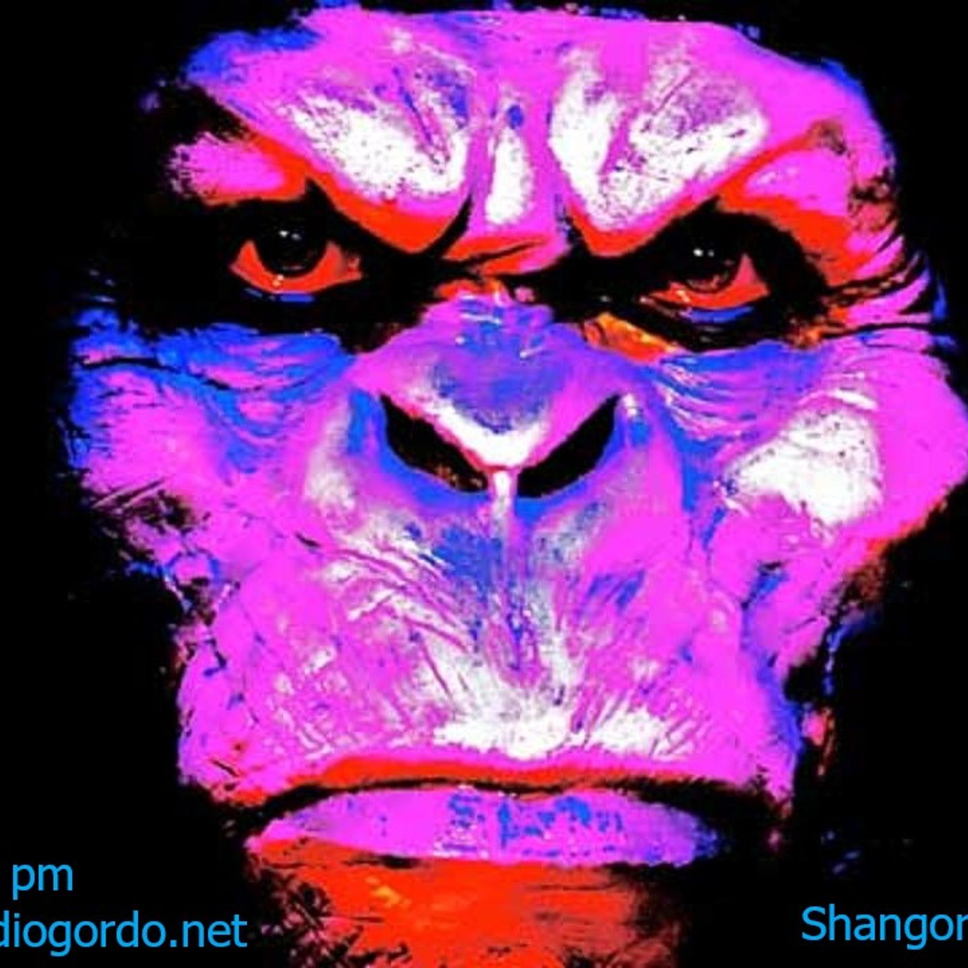 Shangorilla episode artwork